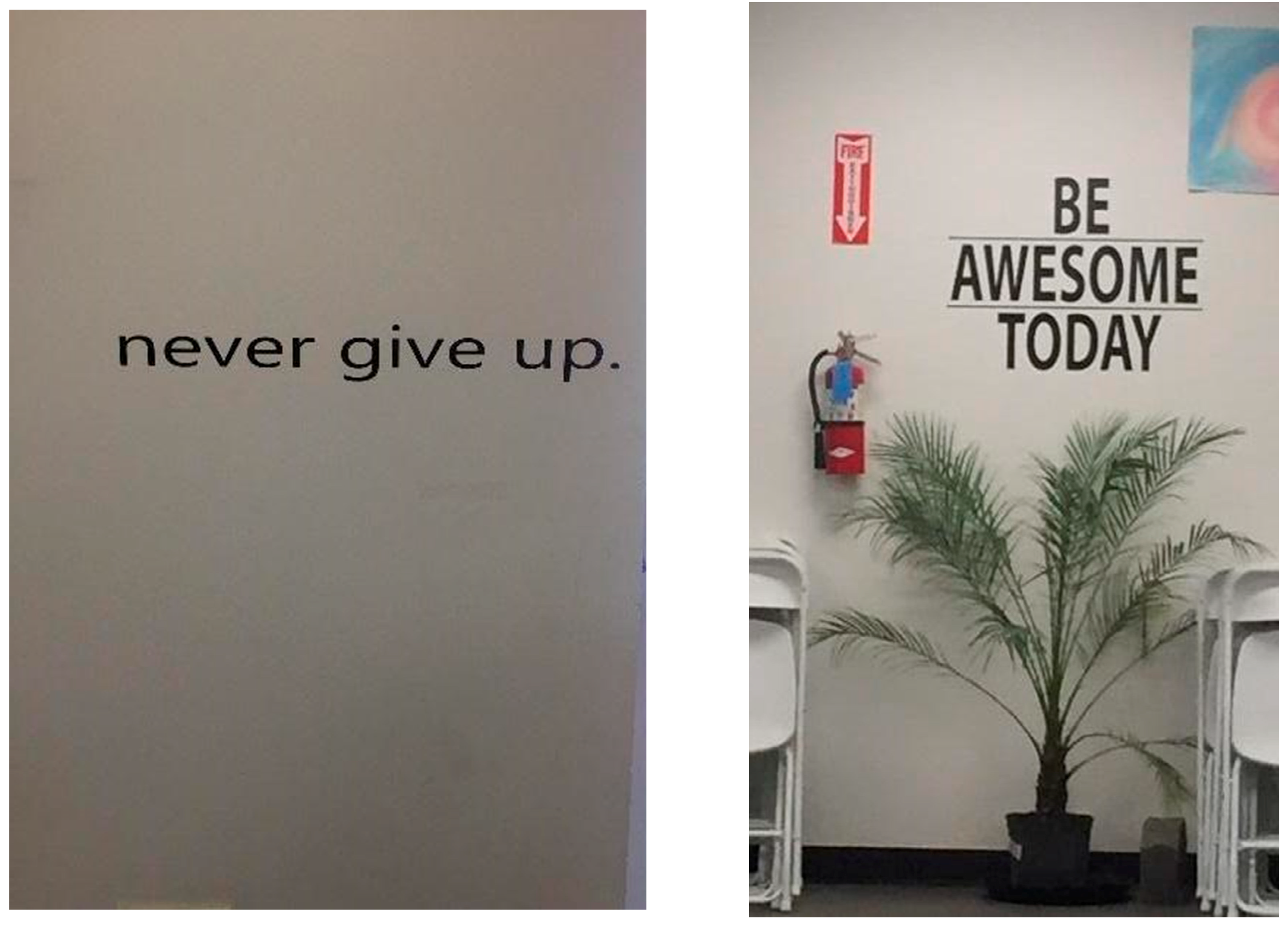 Socsci 09 00233 g002 Socsci 09 00233 g002