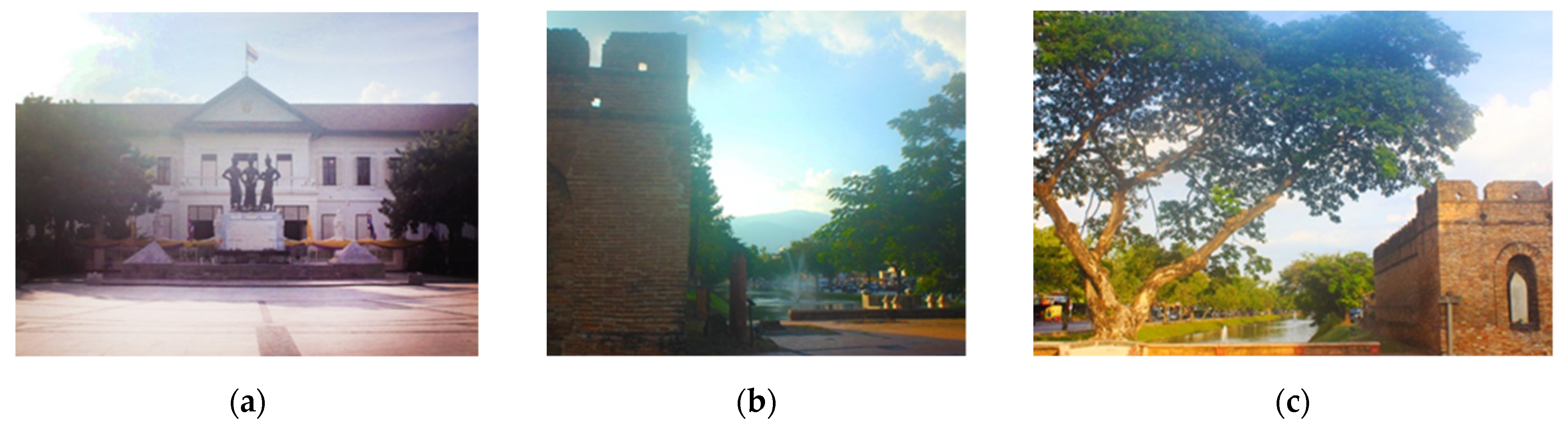 Socsci 10 00101 g006