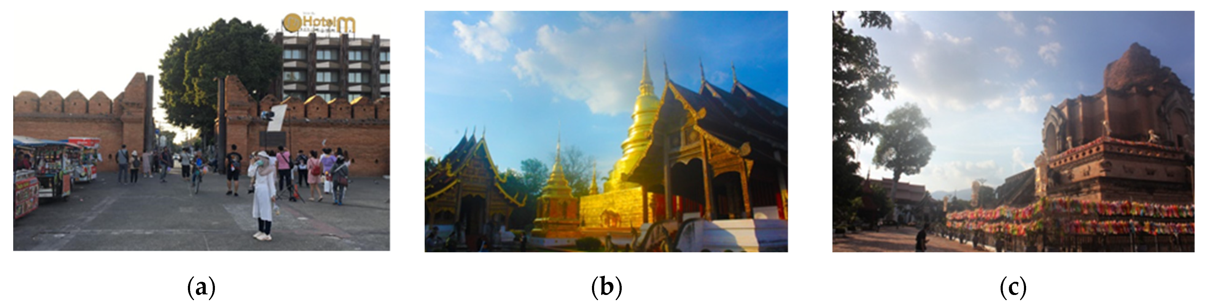 Socsci 10 00101 g007