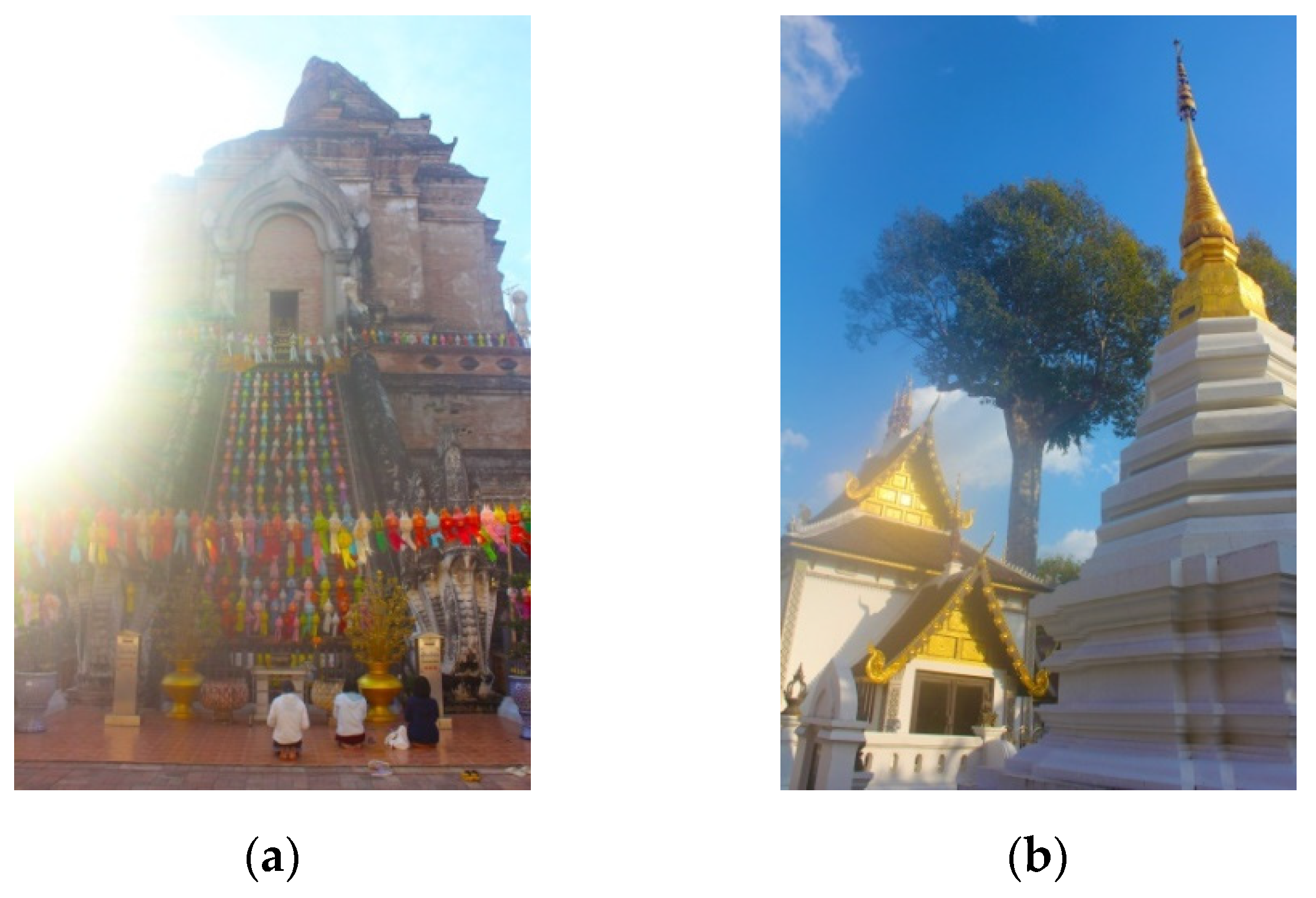 Socsci 10 00101 g008