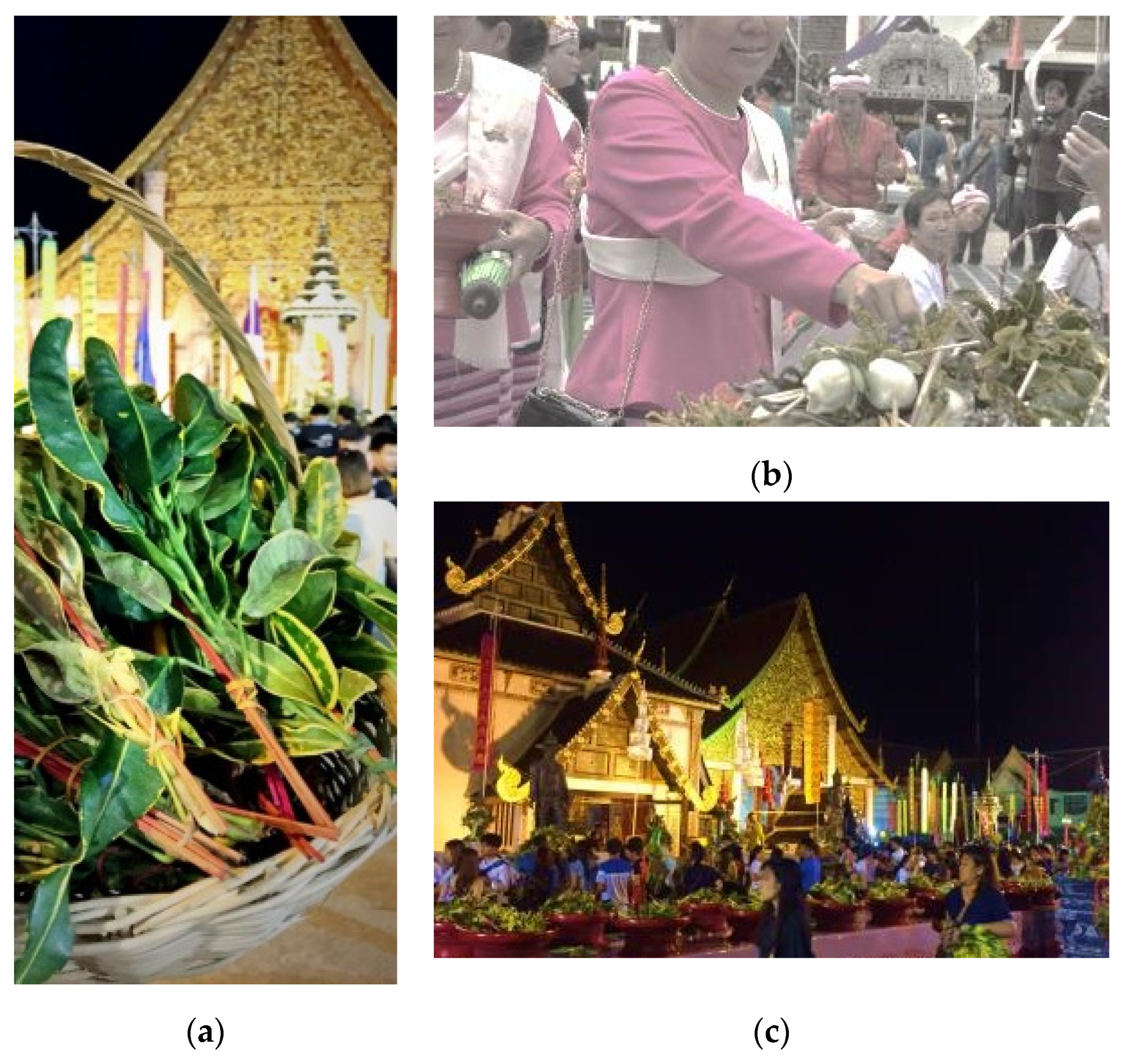 Socsci 10 00101 g009