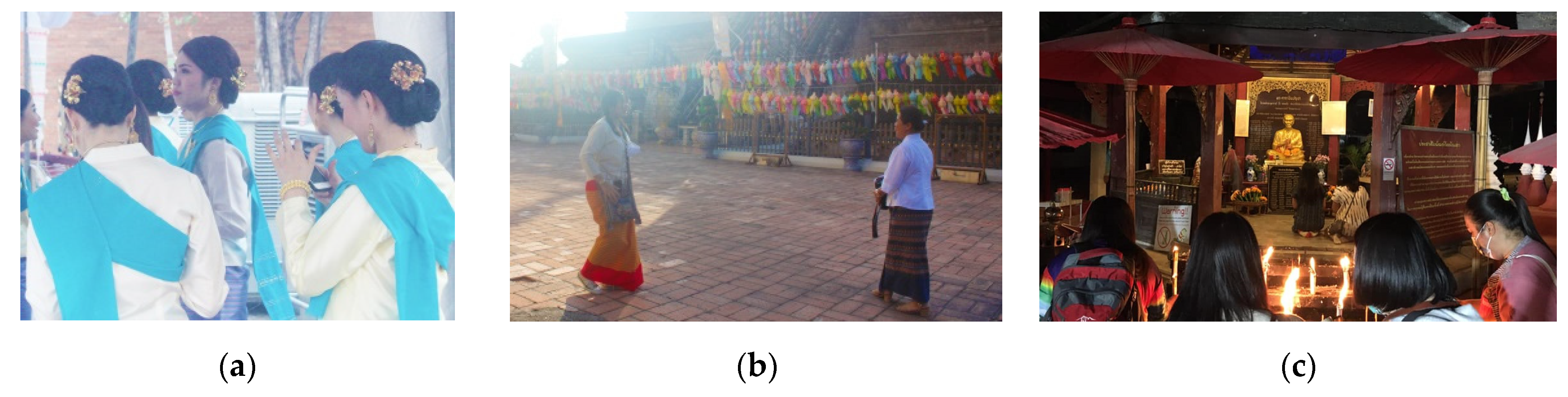 Socsci 10 00101 g010