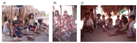 Socsci 10 00191 g001