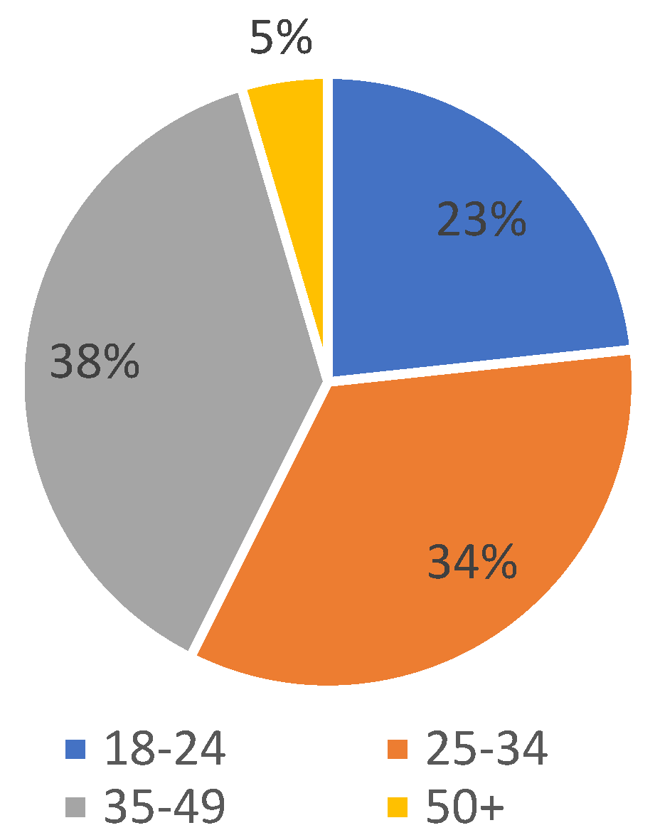 Socsci 10 00344 g001