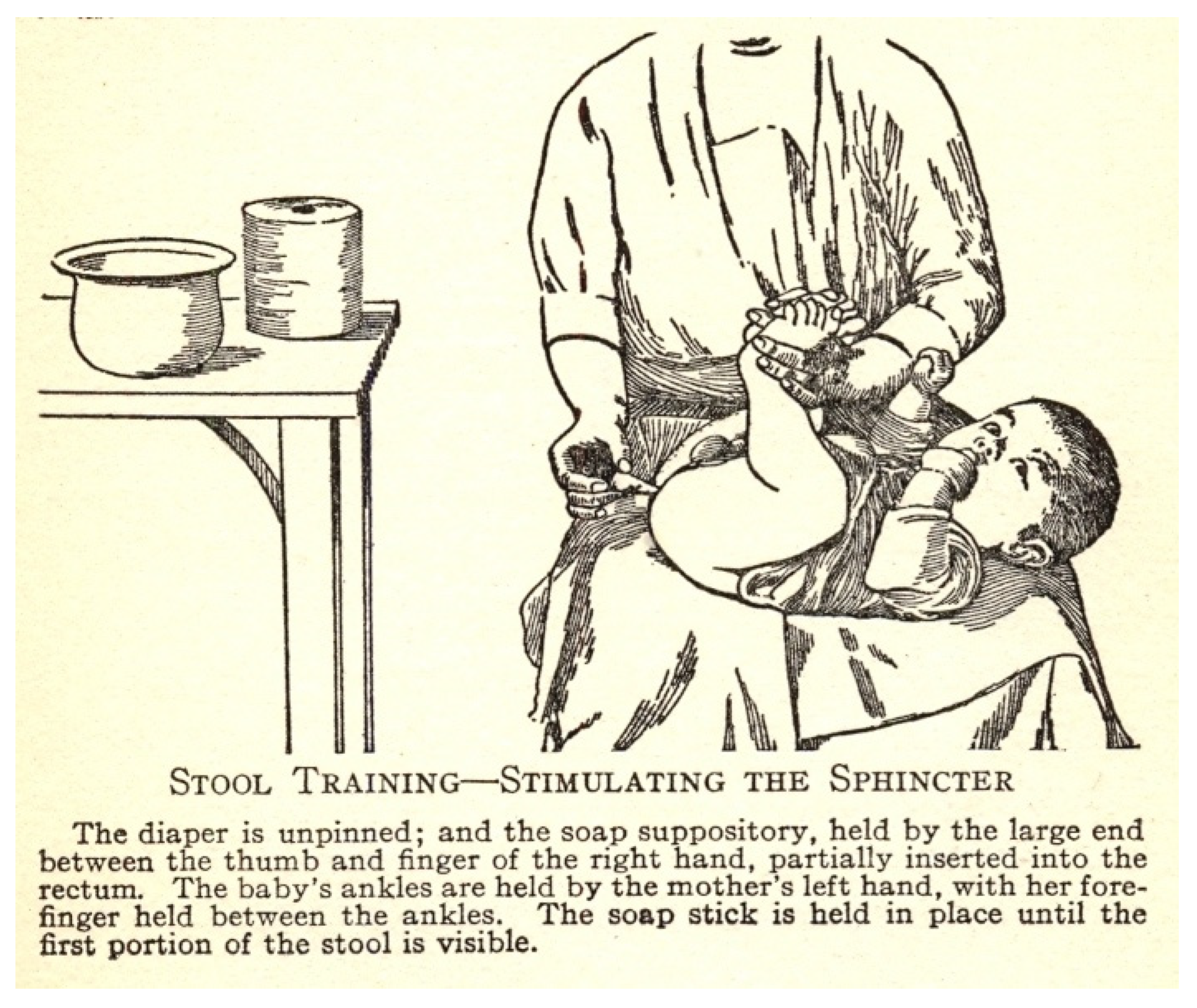 Socsci 11 00011 g016