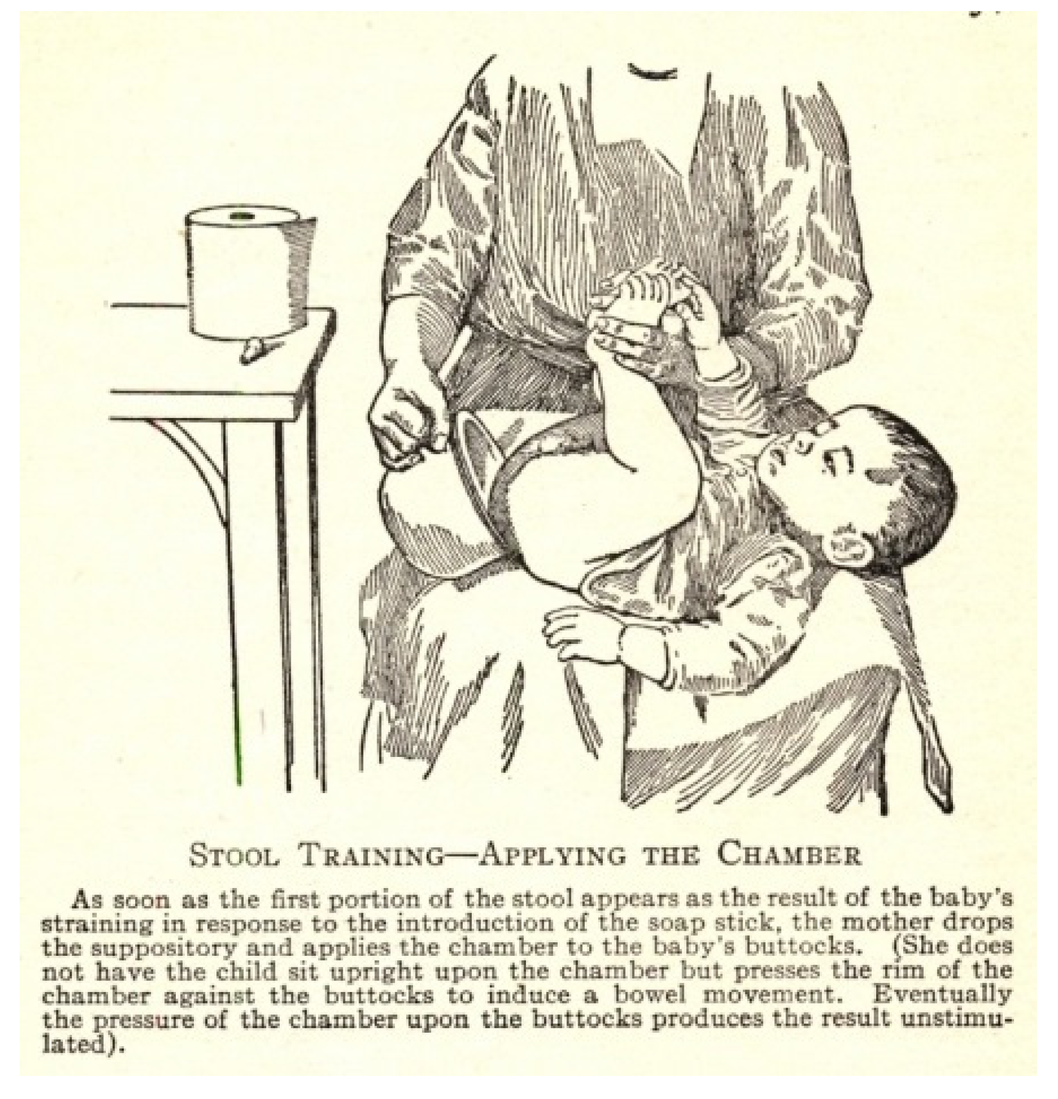 Socsci 11 00011 g017