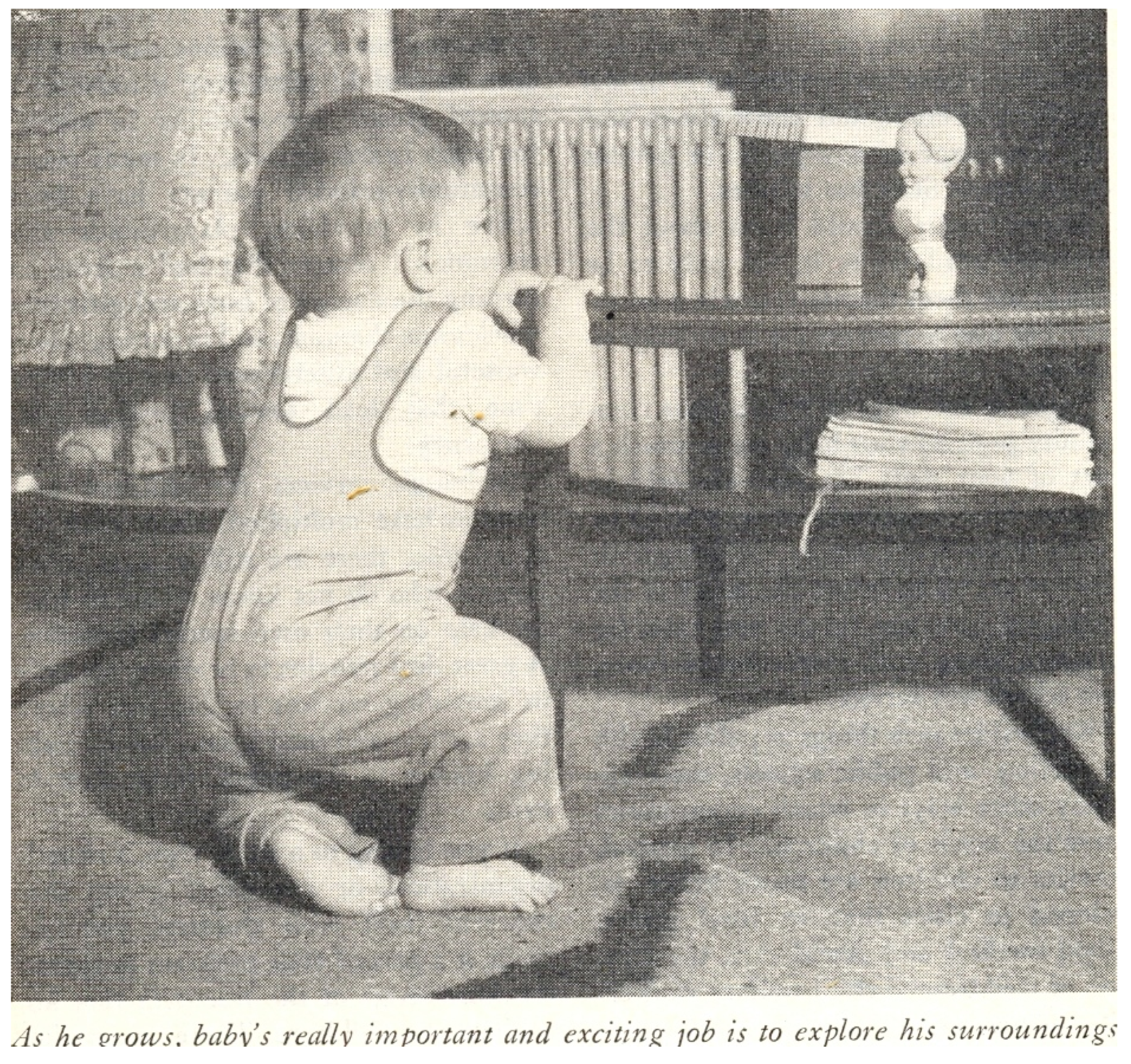 Socsci 11 00011 g026