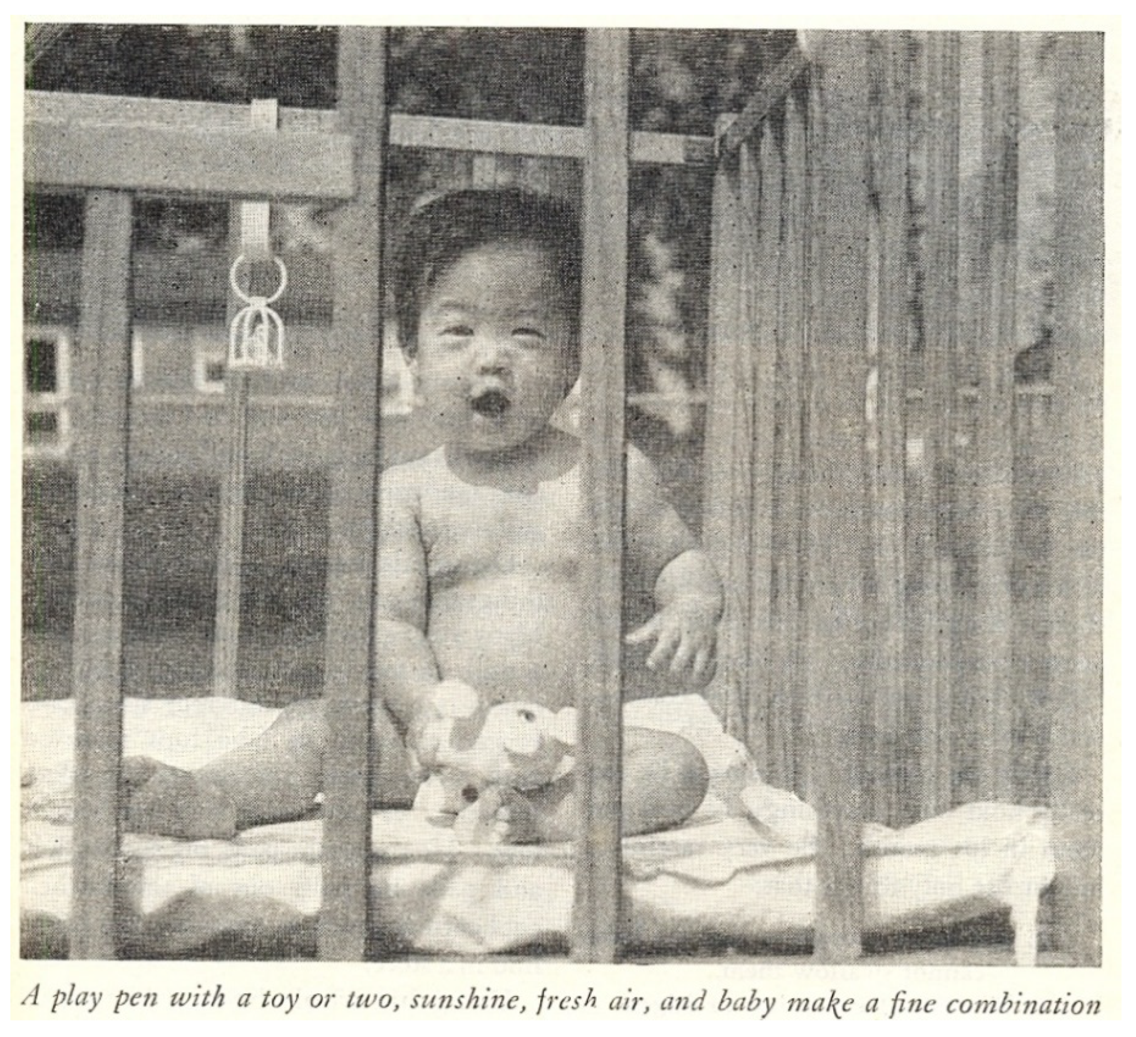 Socsci 11 00011 g035