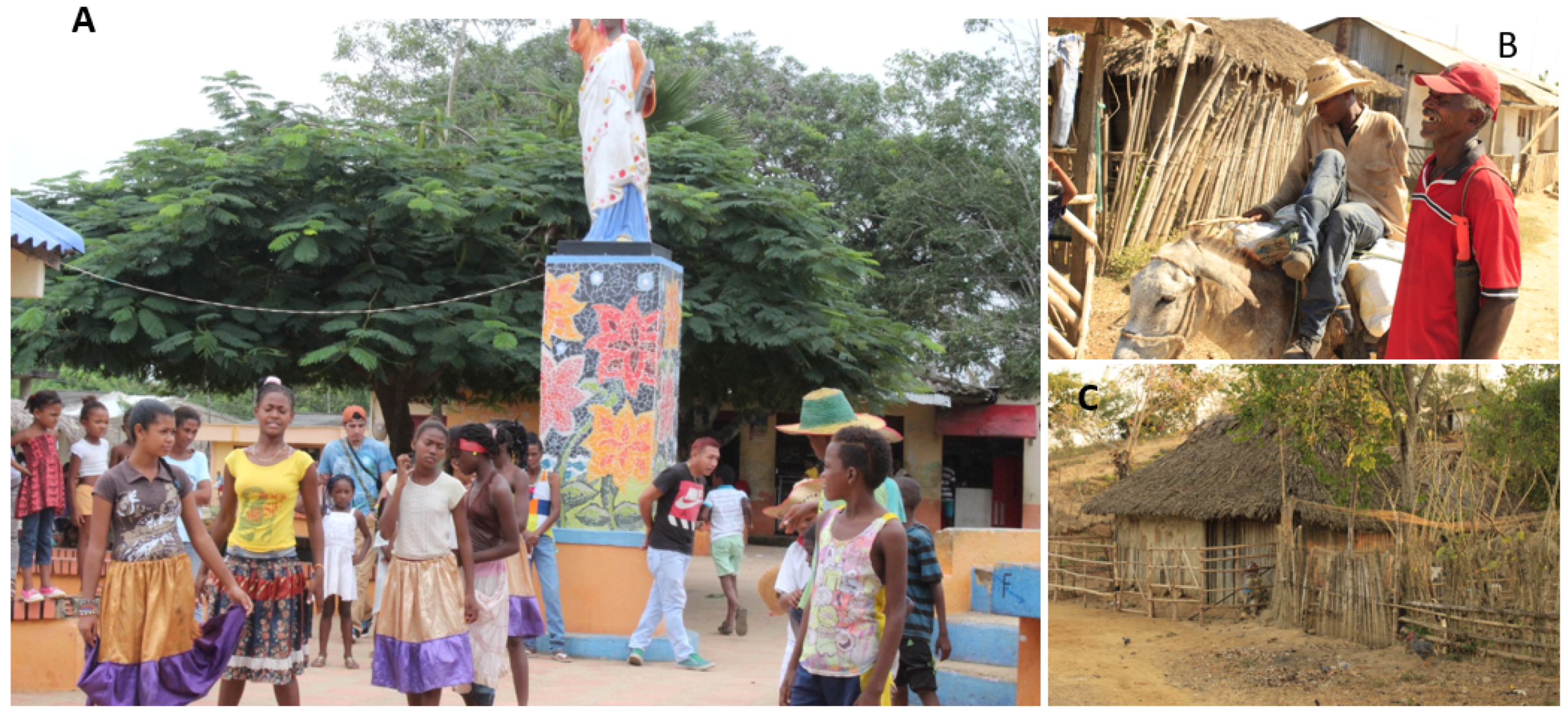 Socsci 11 00103 g002 Socsci 11 00103 g002