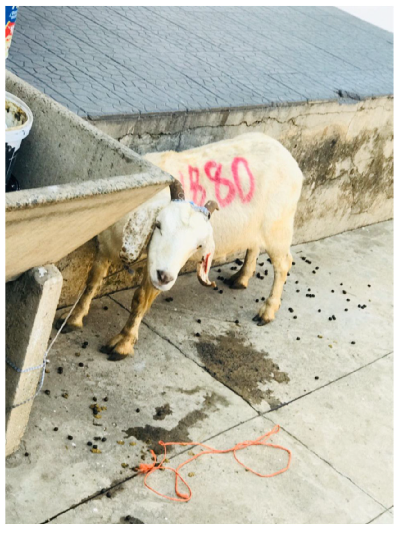 Socsci 11 00277 i004