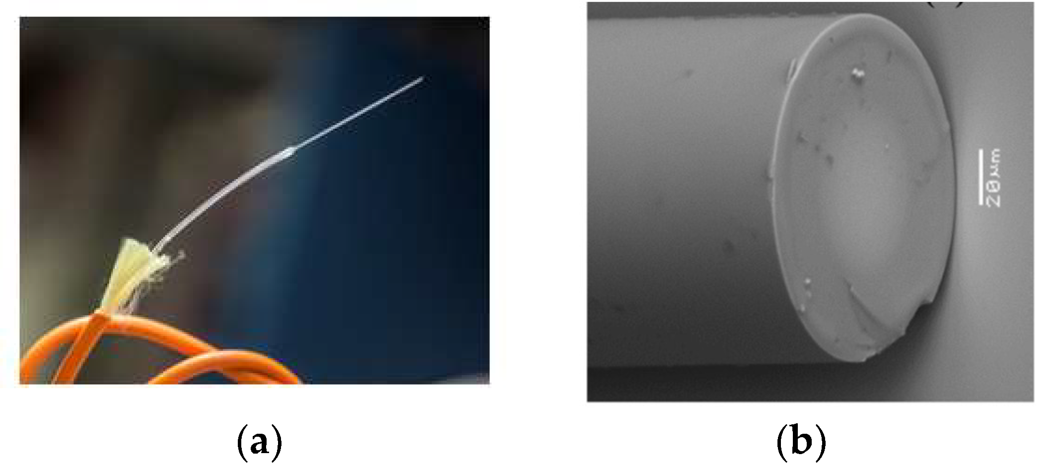 Socsci 11 00323 g001