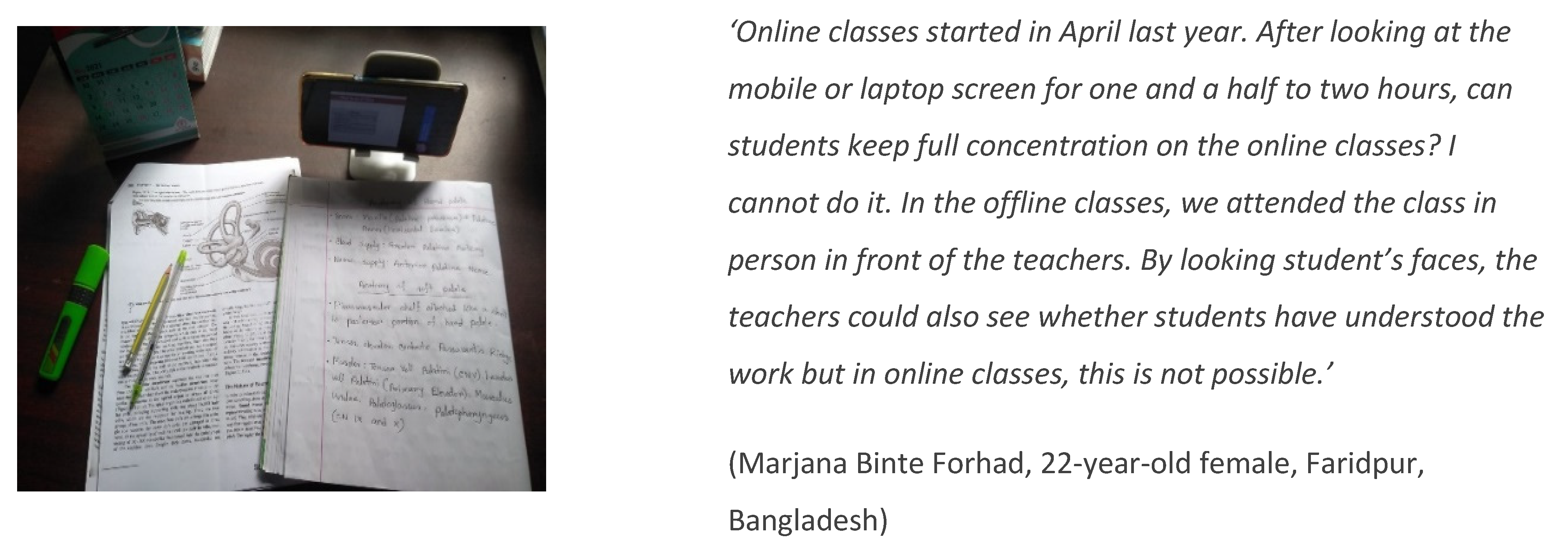 Socsci 11 00378 g010