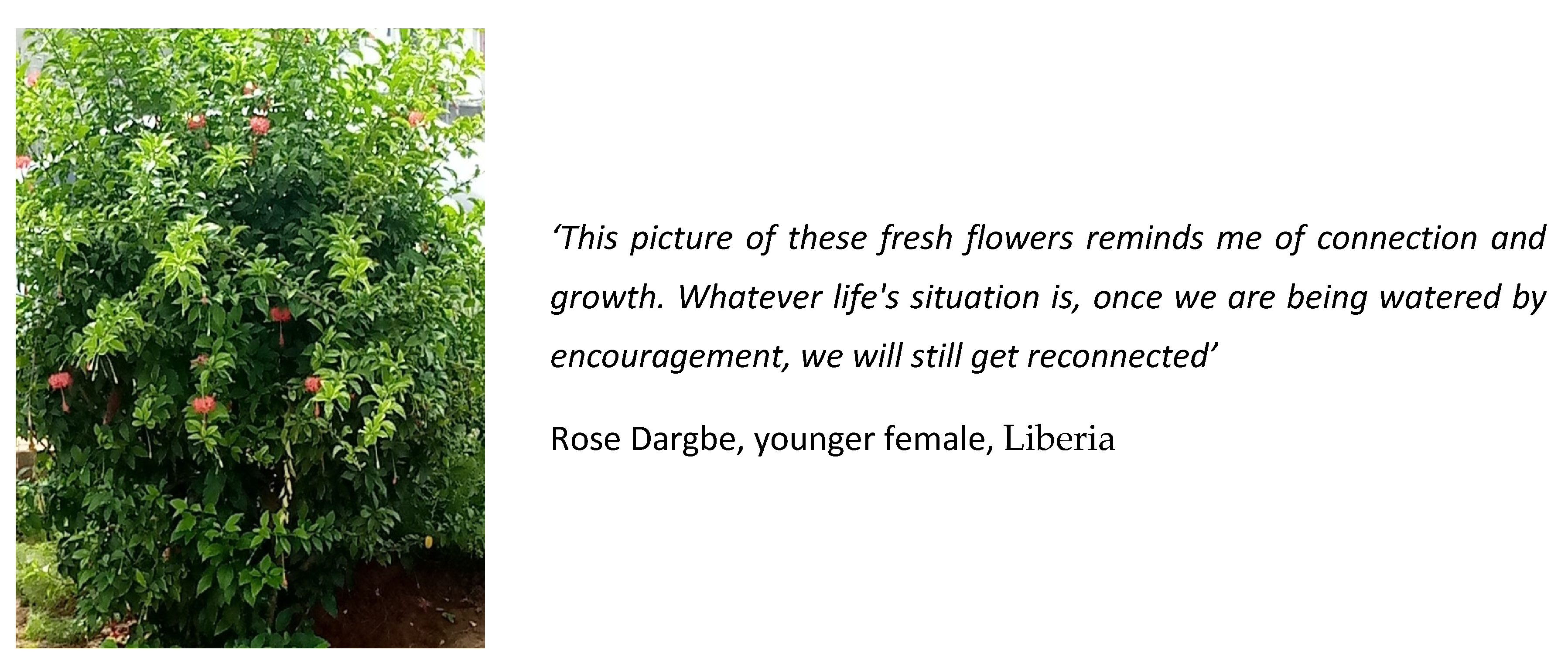 Socsci 11 00378 g018