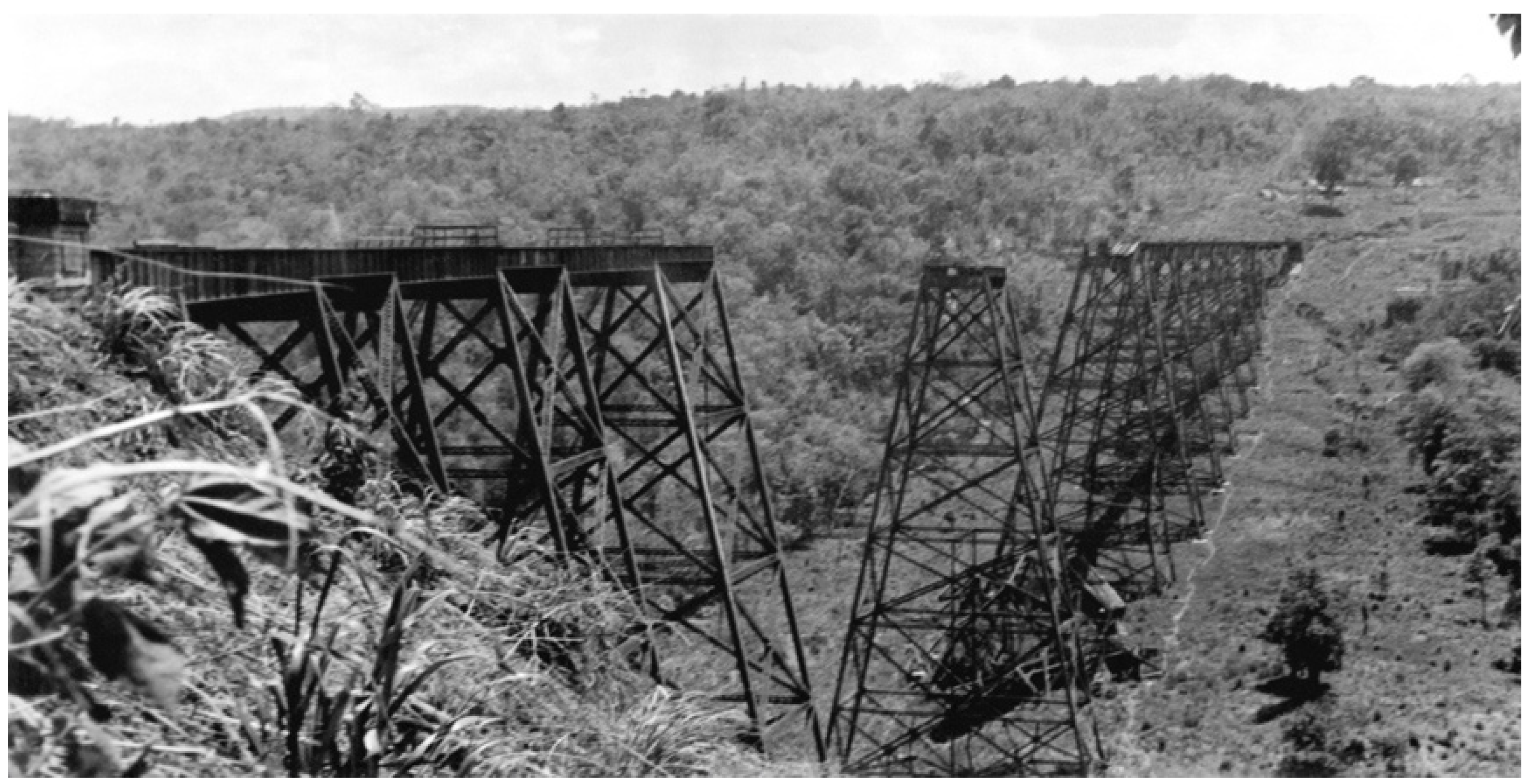 Socsci 11 00440 g002