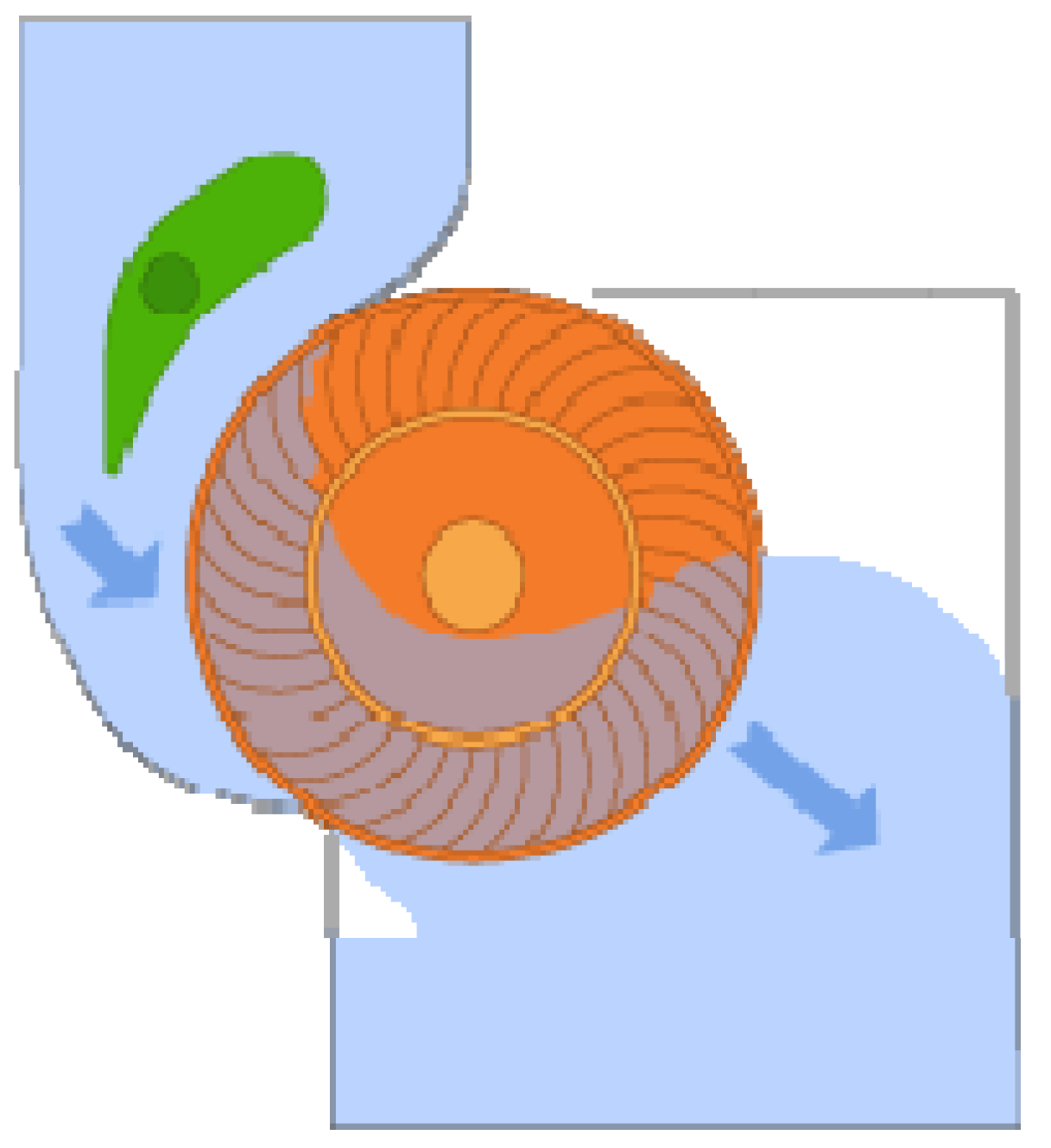 Socsci 11 00462 g010