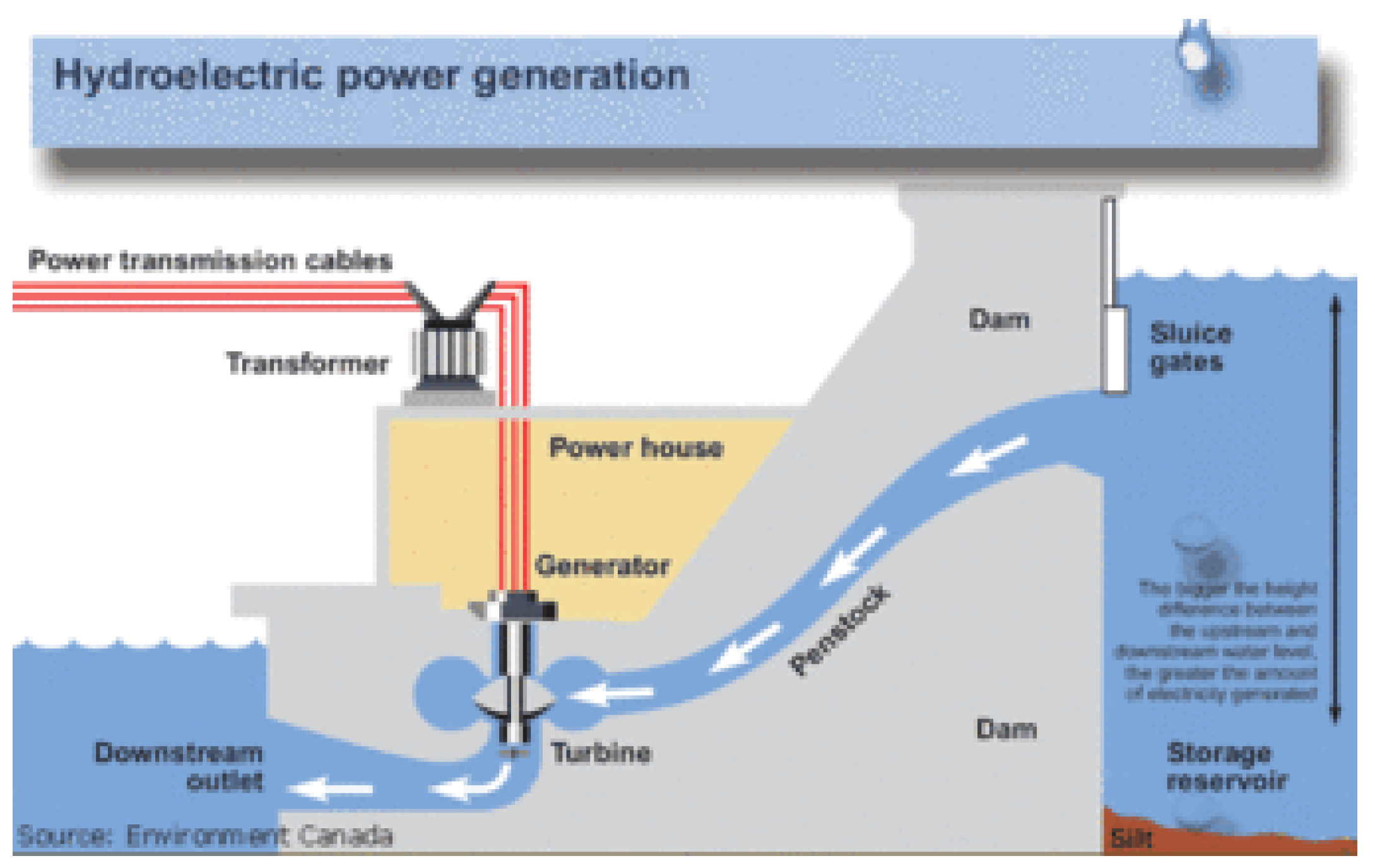 Socsci 11 00462 g011