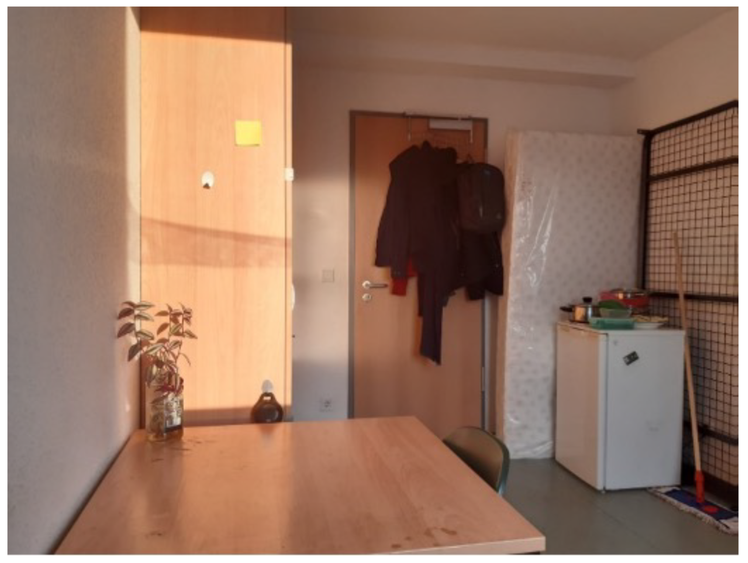 Socsci 12 00016 i002