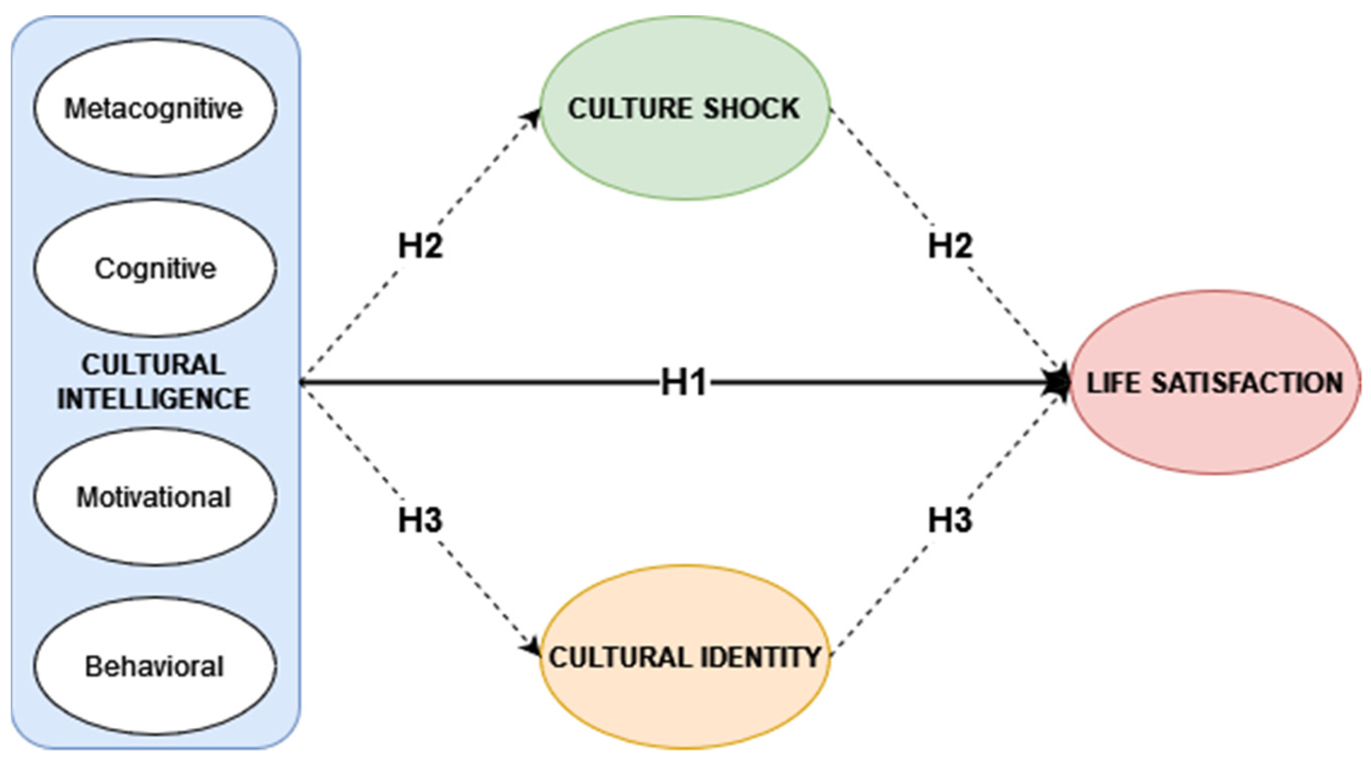 Socsci 12 00126 g001
