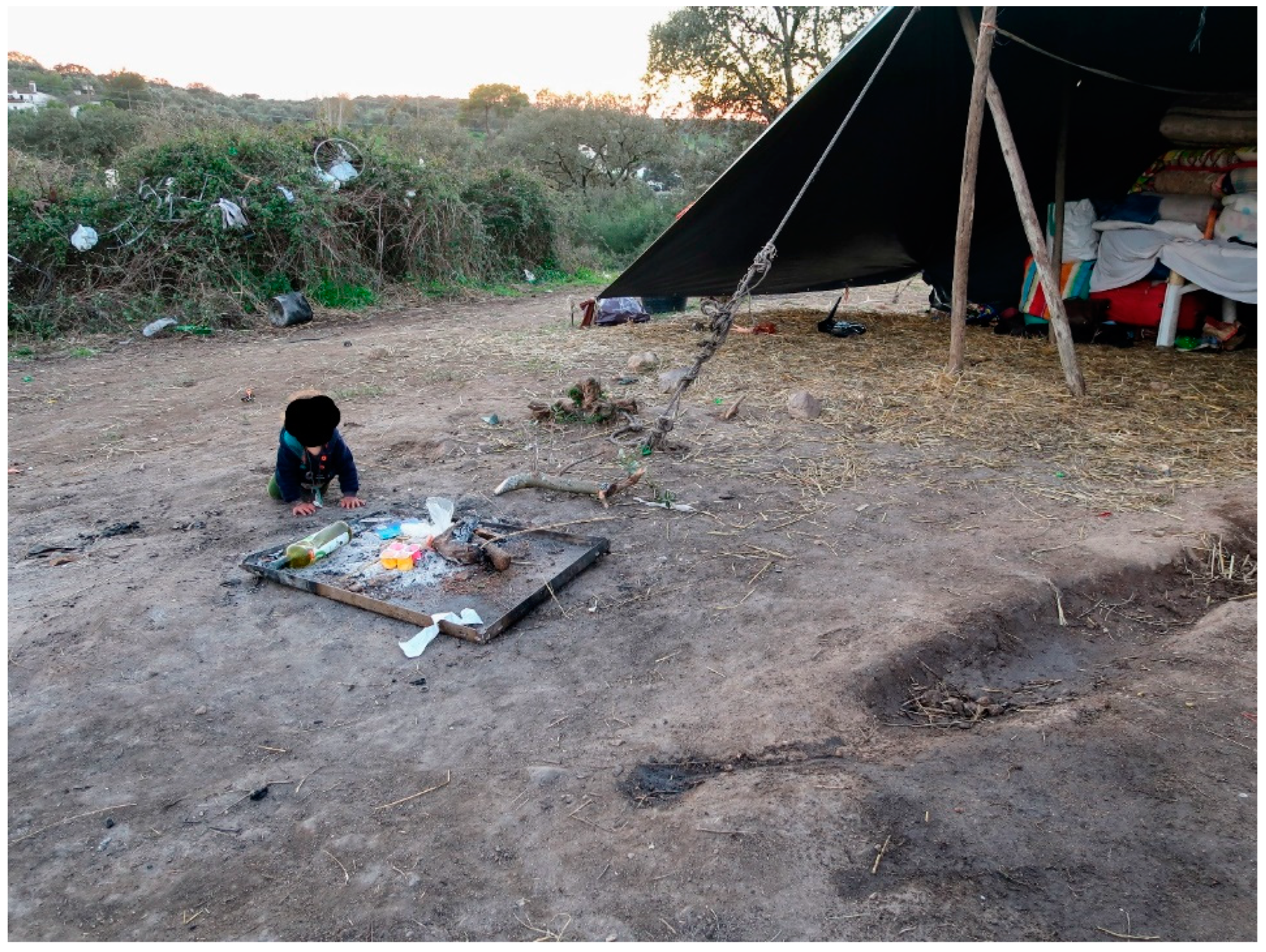 Socsci 12 00196 g002