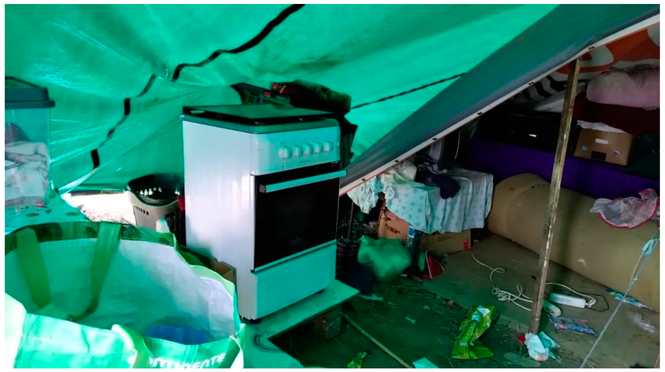 Socsci 12 00196 g004