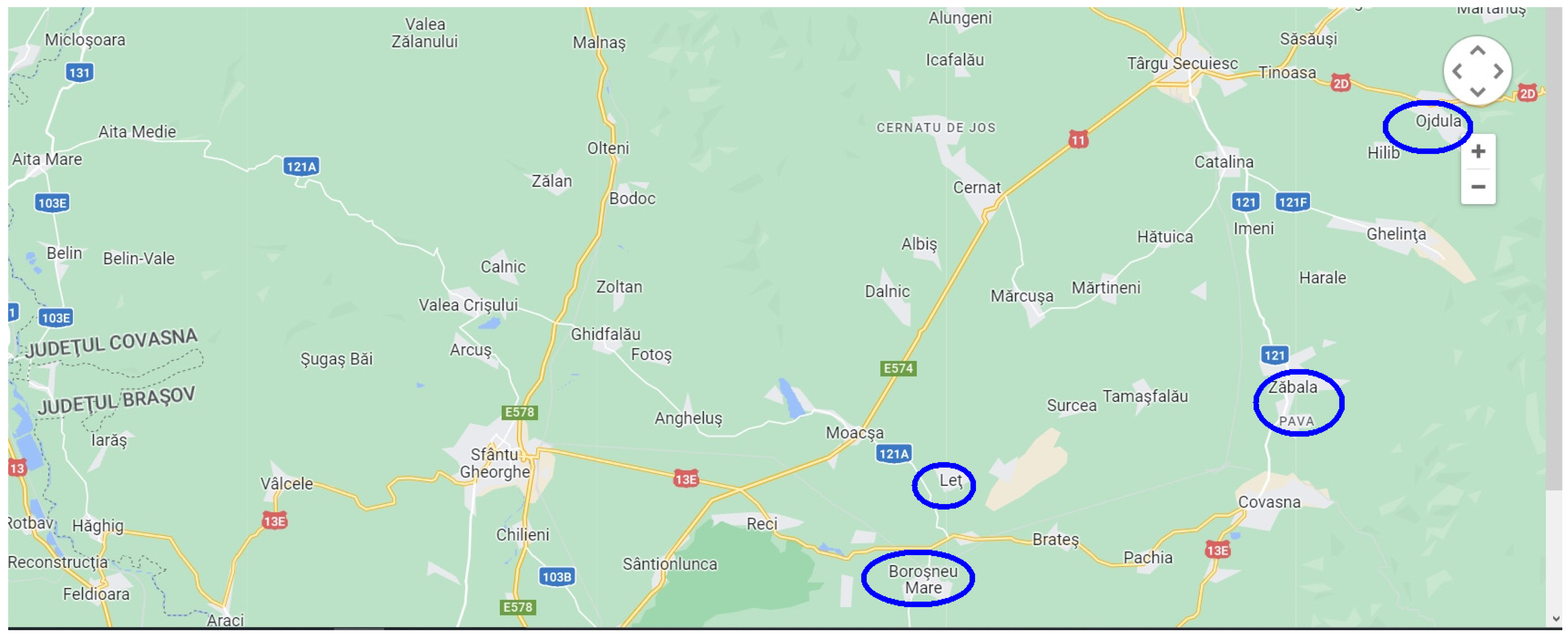 Socsci 12 00268 g001