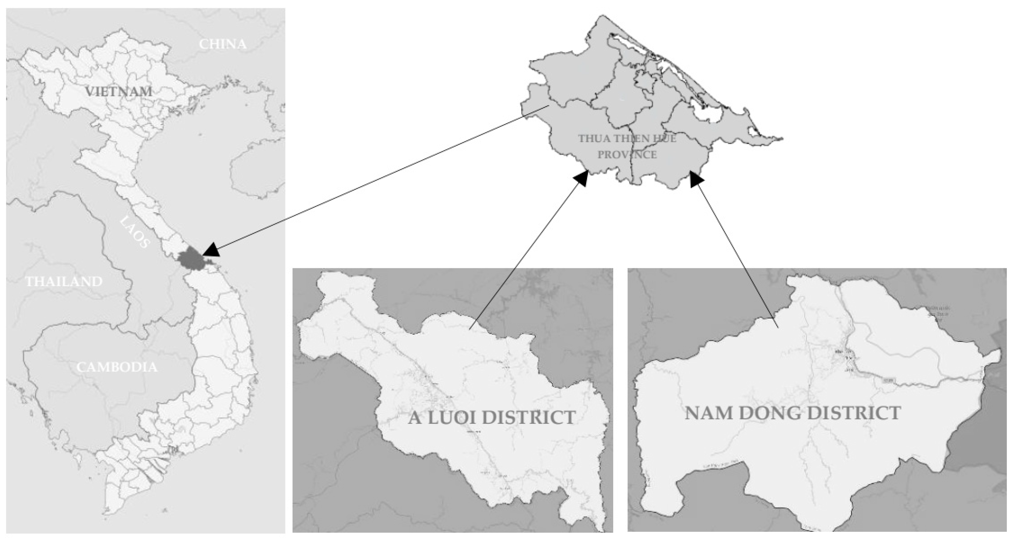 Socsci 12 00331 g001 Socsci 12 00331 g001