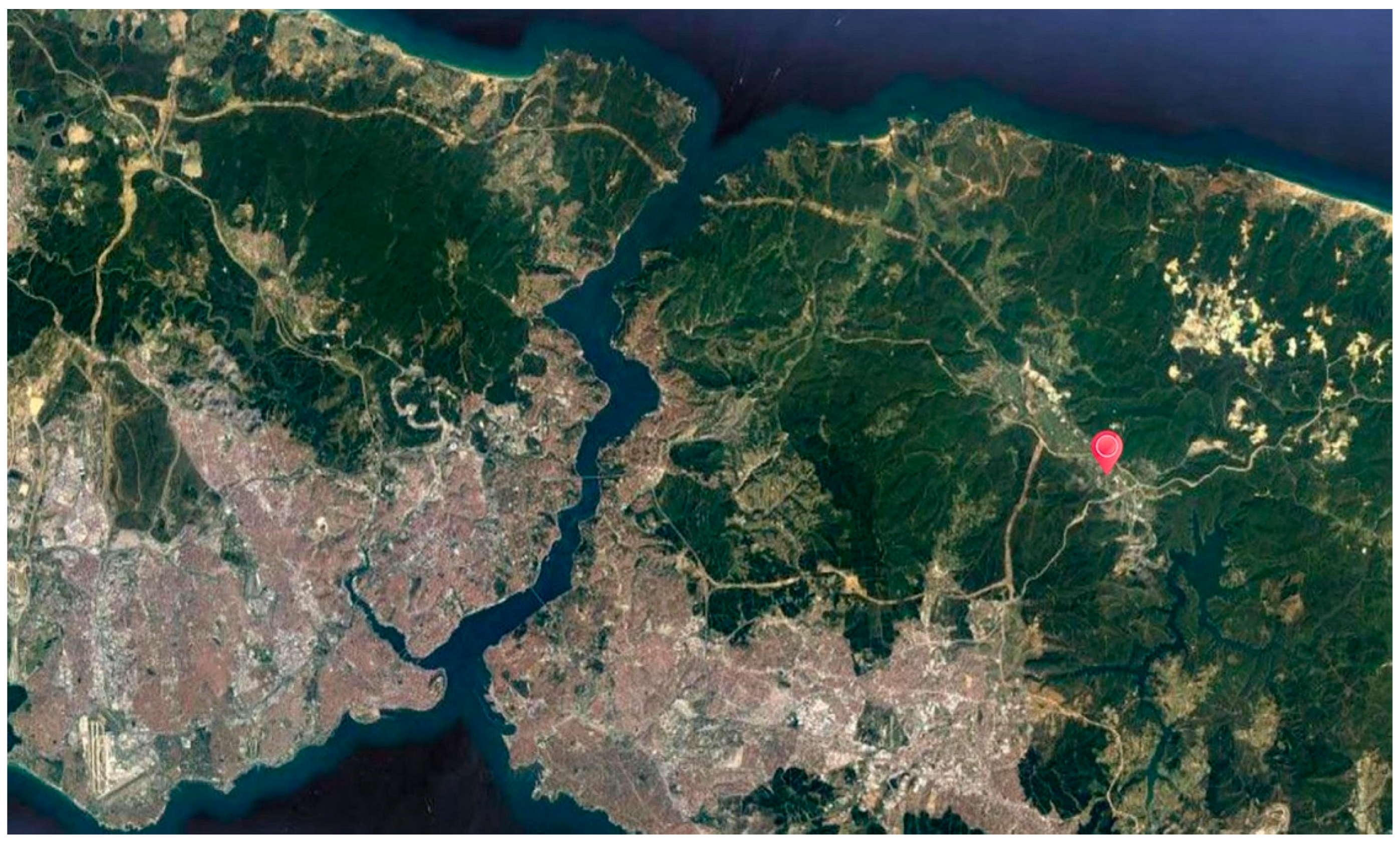 Socsci 12 00342 g001