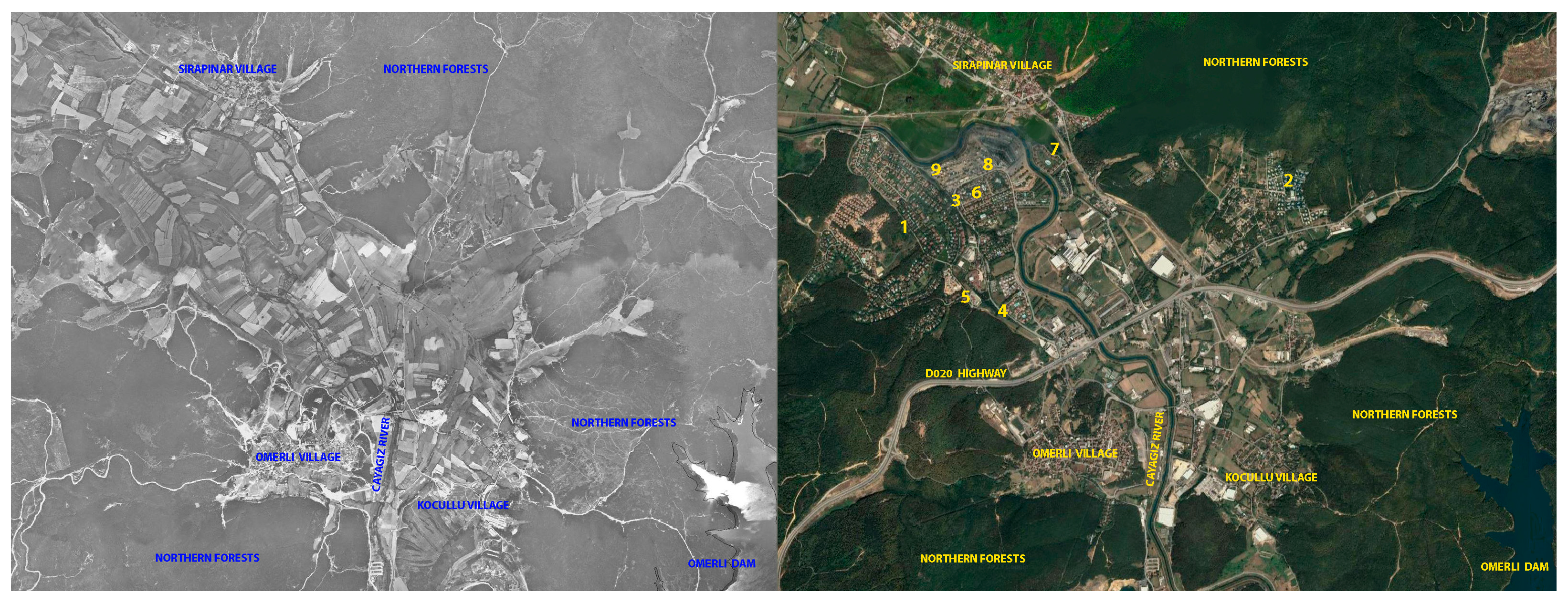 Socsci 12 00342 g002