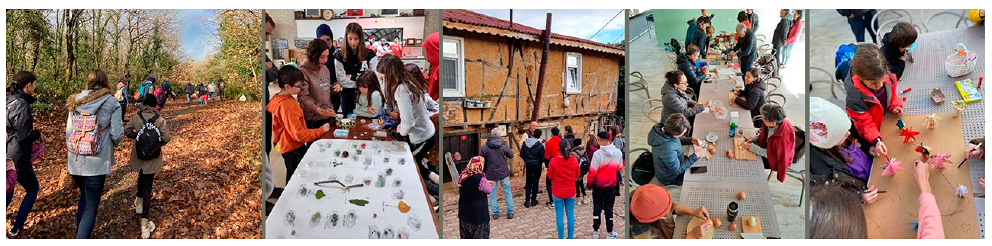 Socsci 12 00342 g003