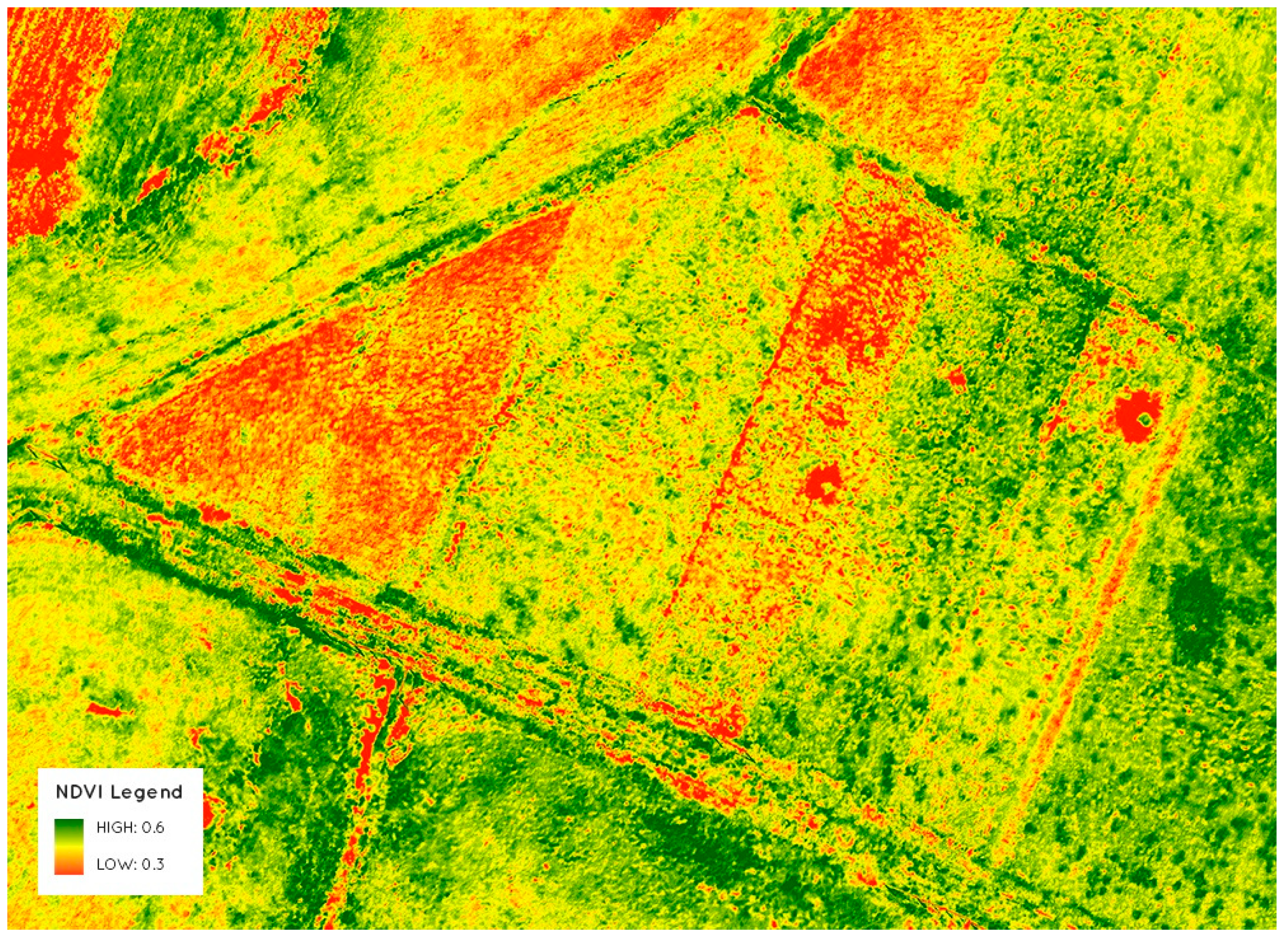 Socsci 12 00398 g007