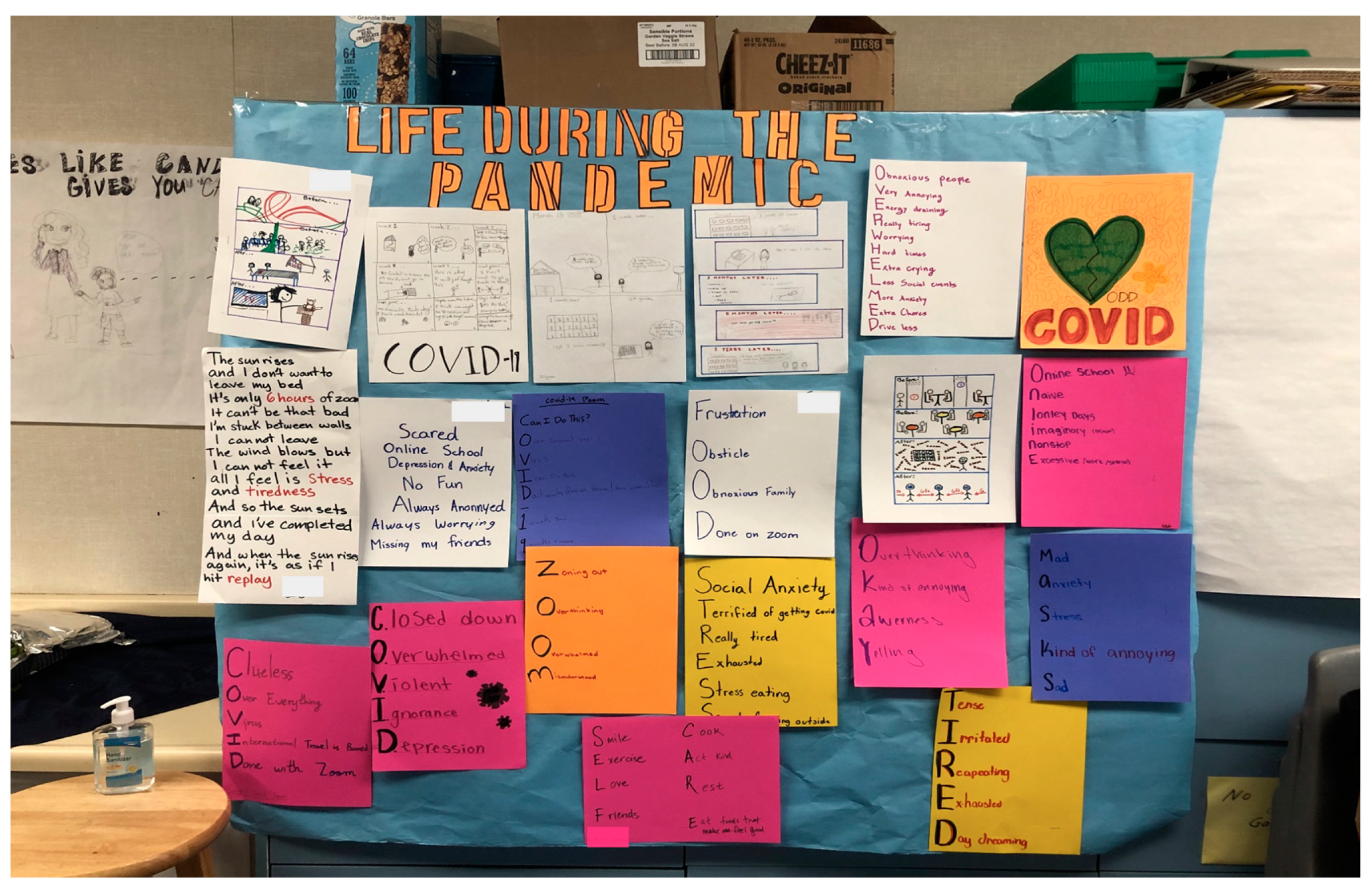 Socsci 12 00483 g004