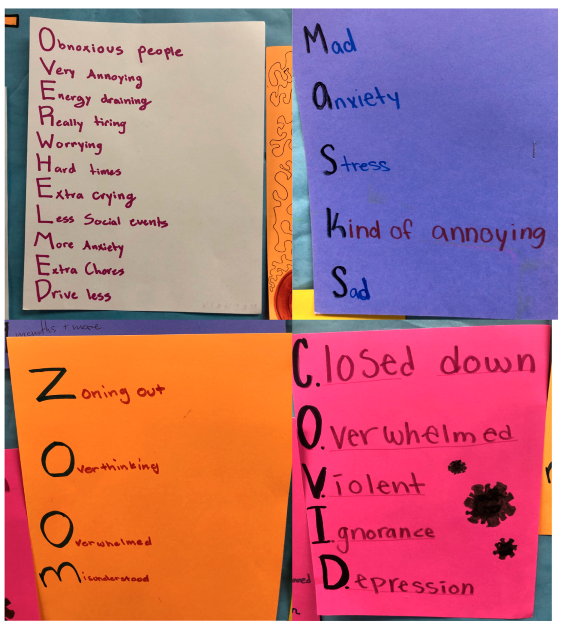 Socsci 12 00483 g005