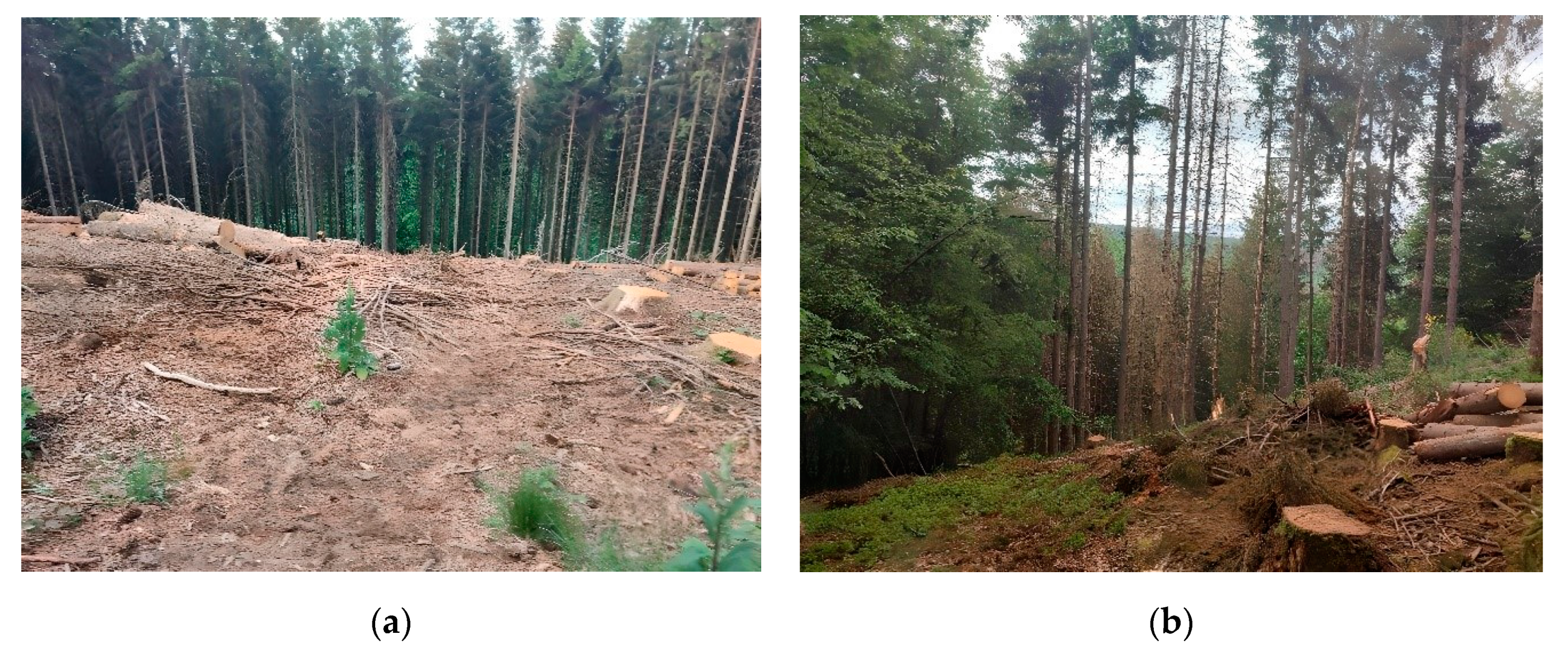 Socsci 12 00591 g003