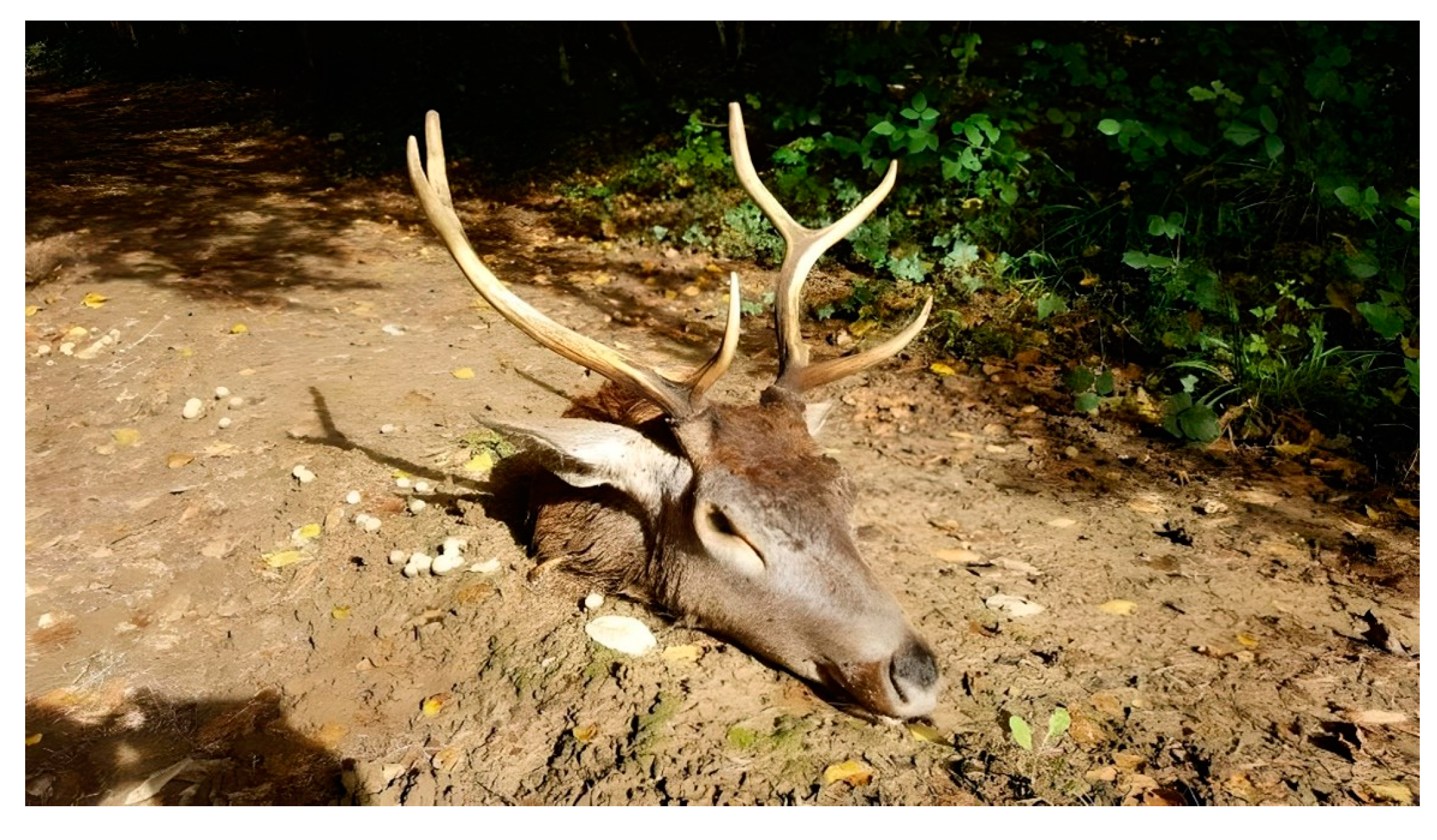 Socsci 12 00591 g004