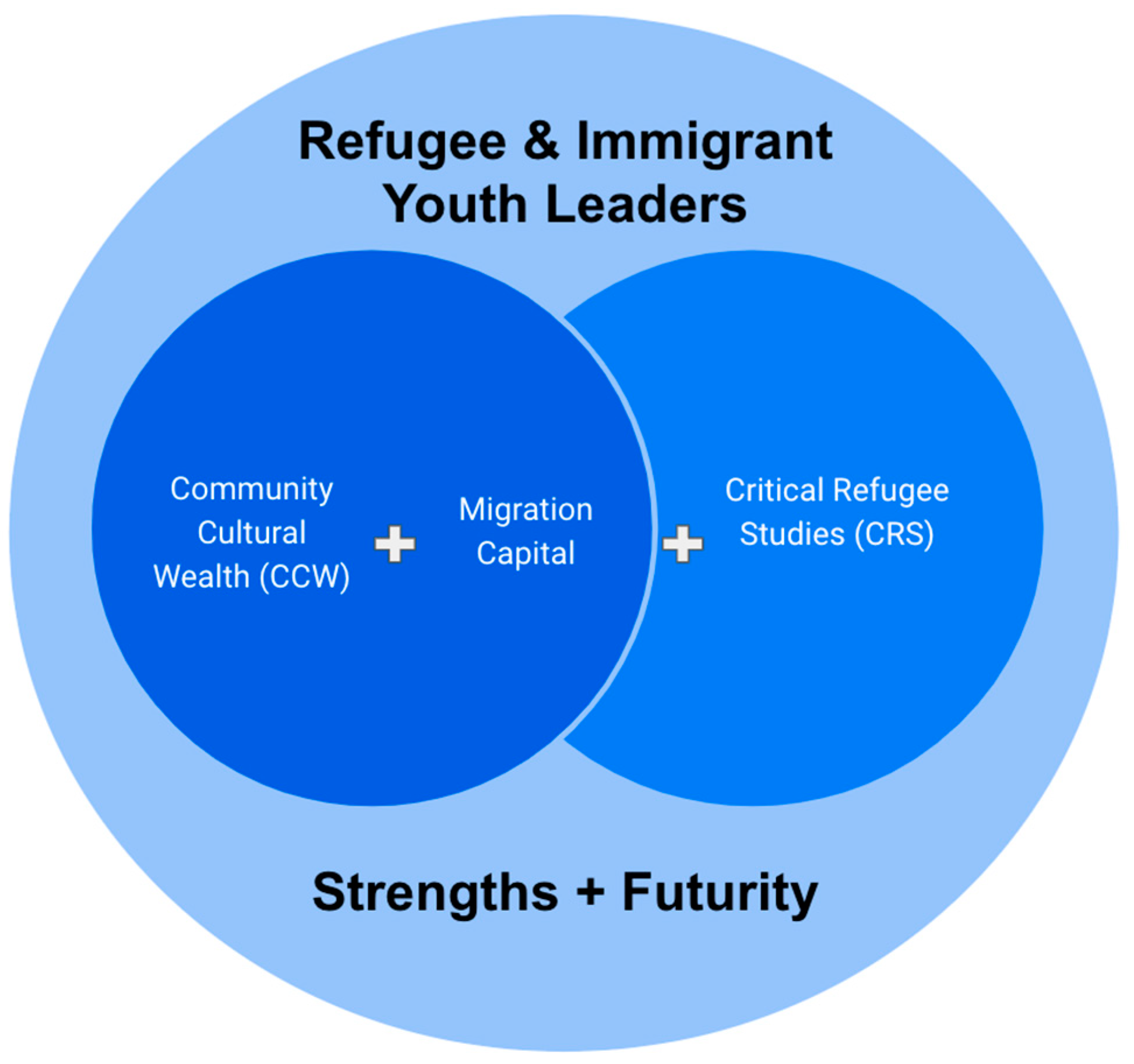 Socsci 12 00640 g001