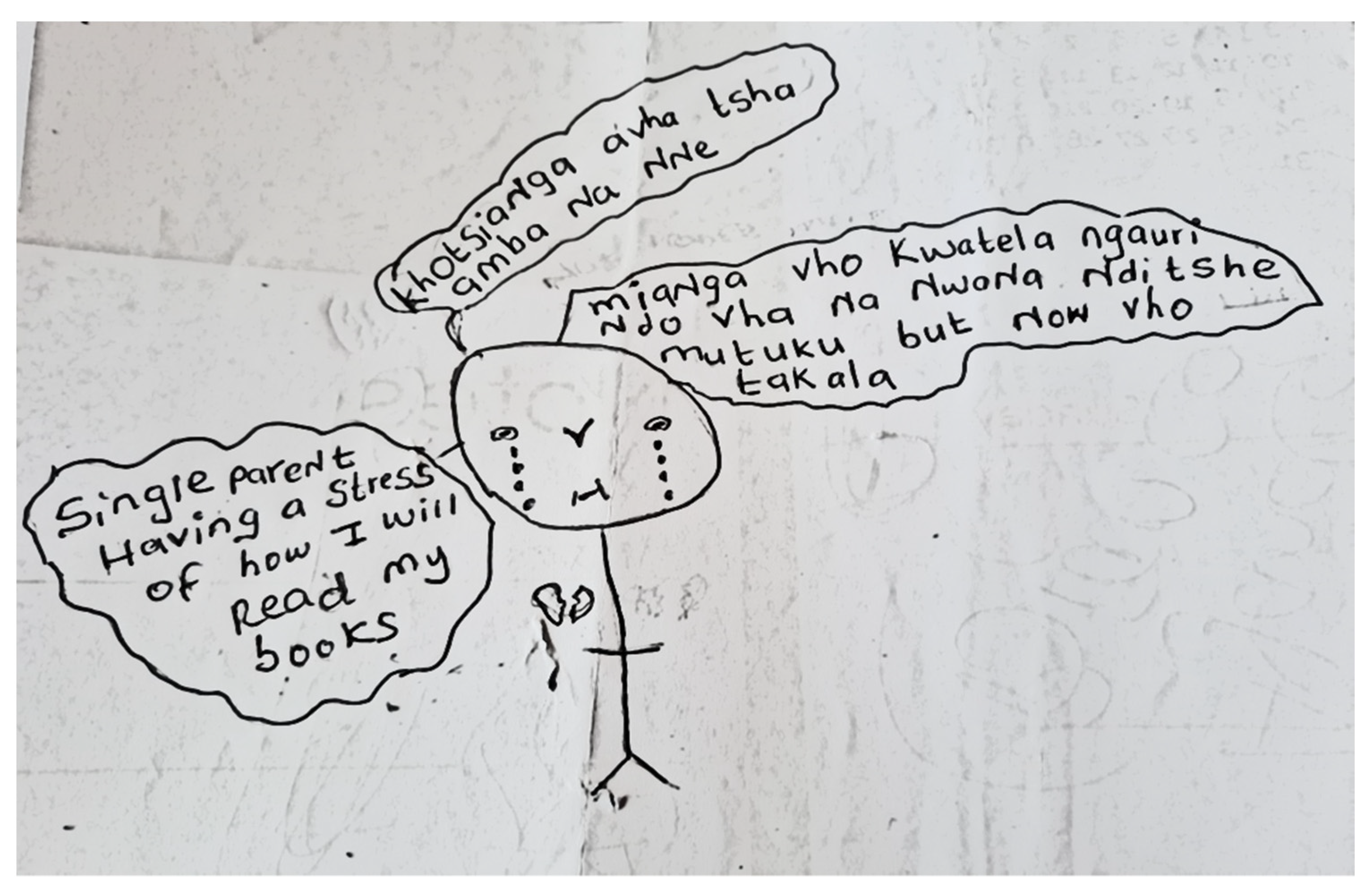 Socsci 13 00018 g002