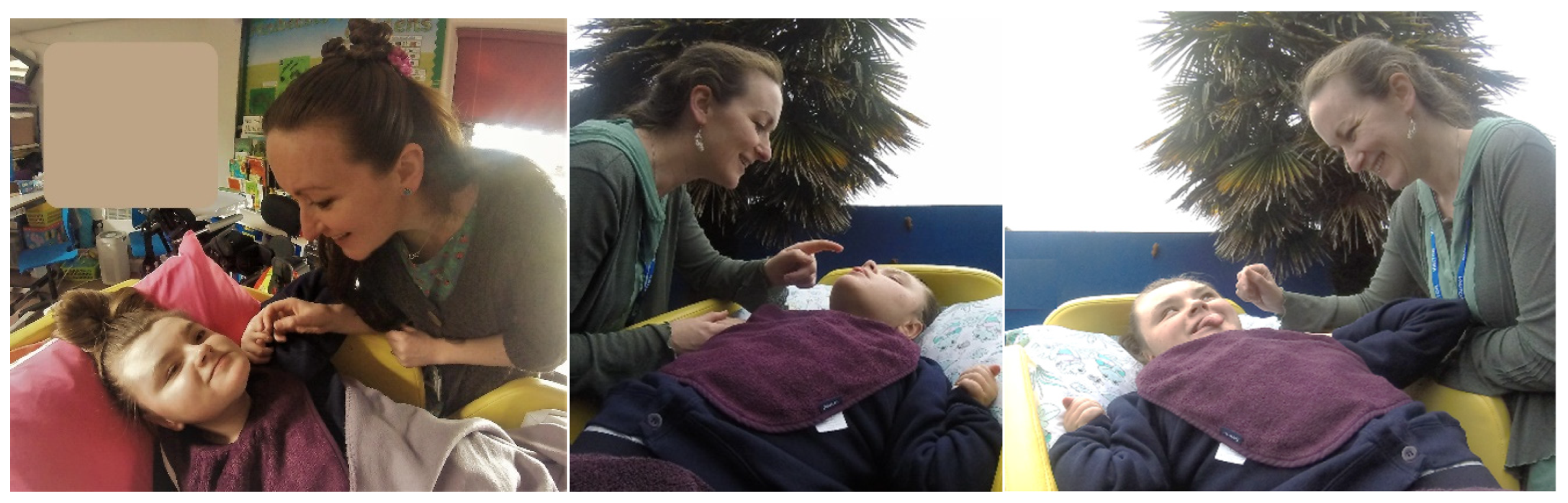 Socsci 13 00037 g002