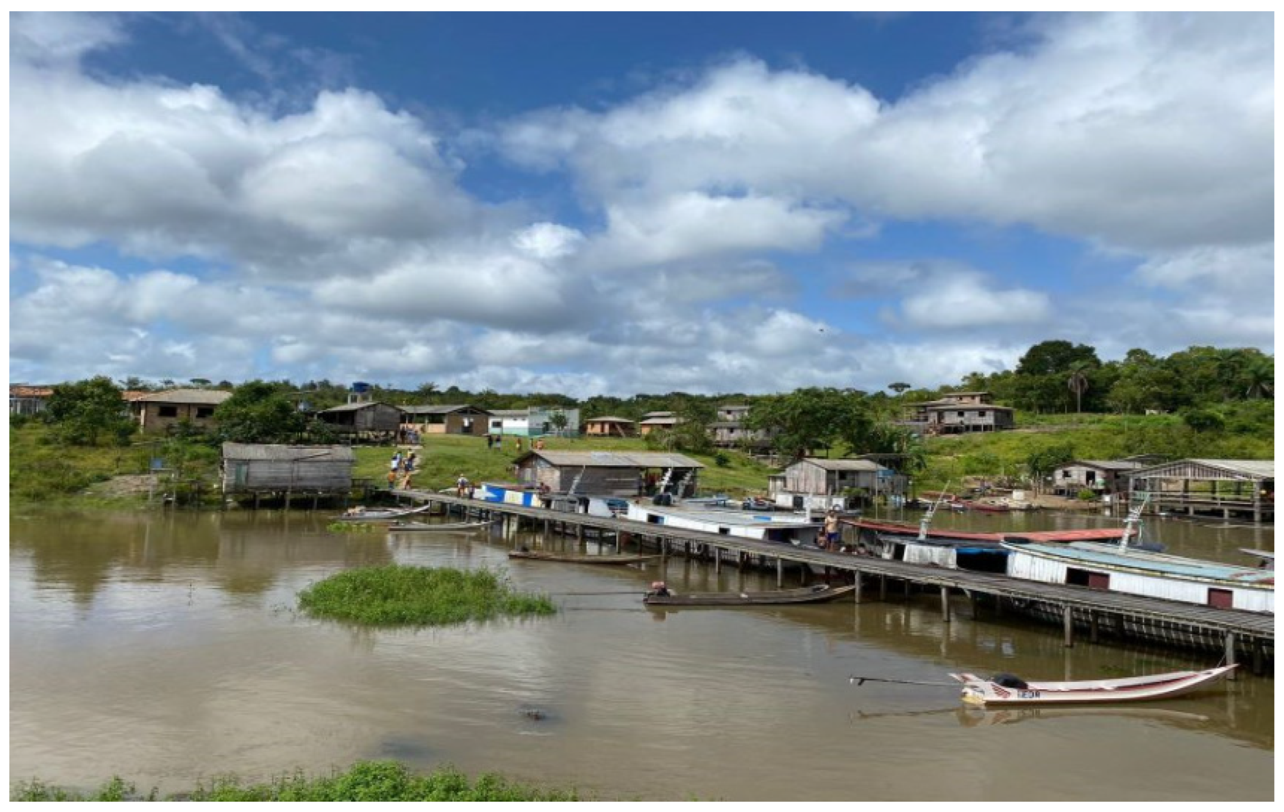 Socsci 13 00113 g001