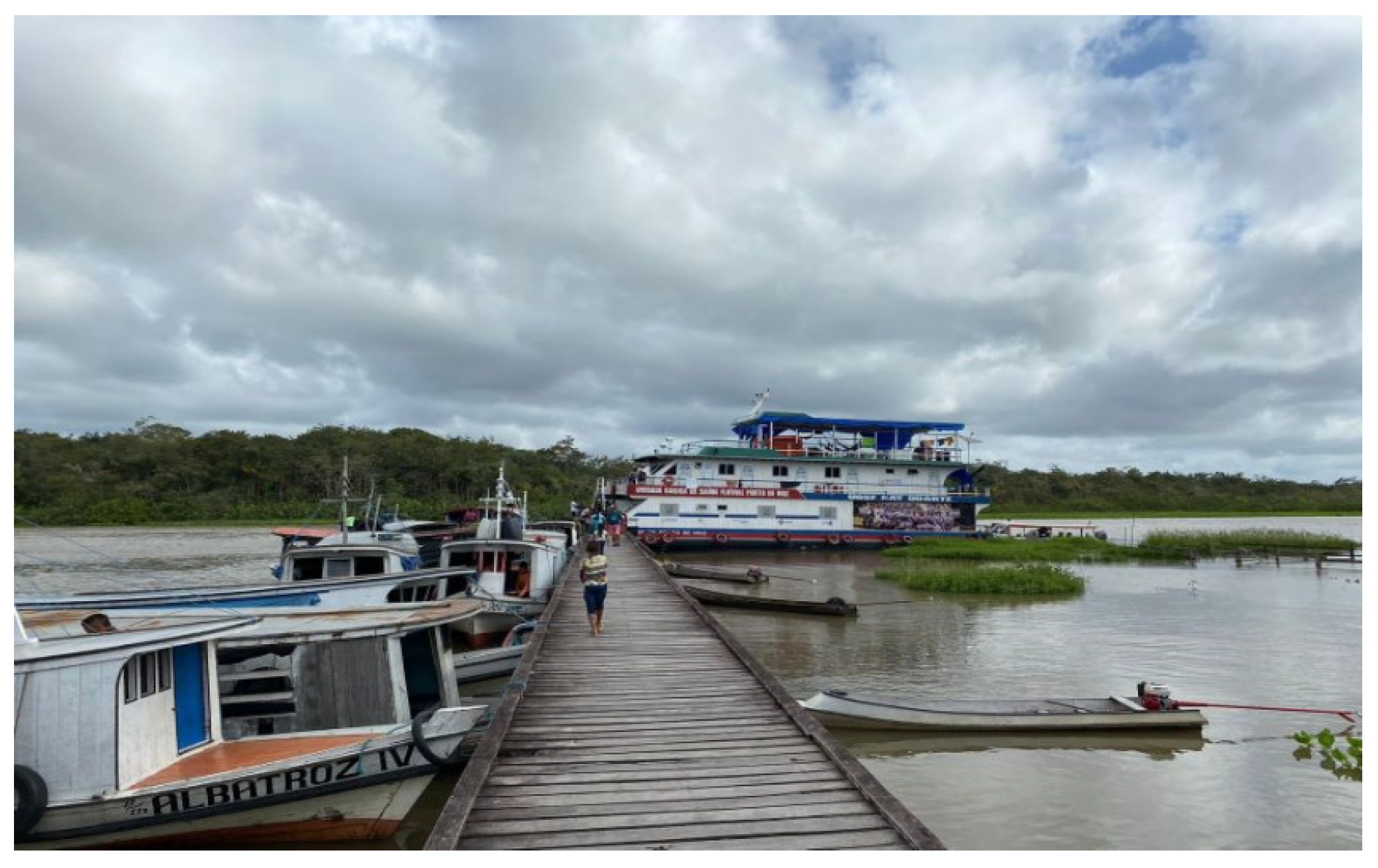 Socsci 13 00113 g002