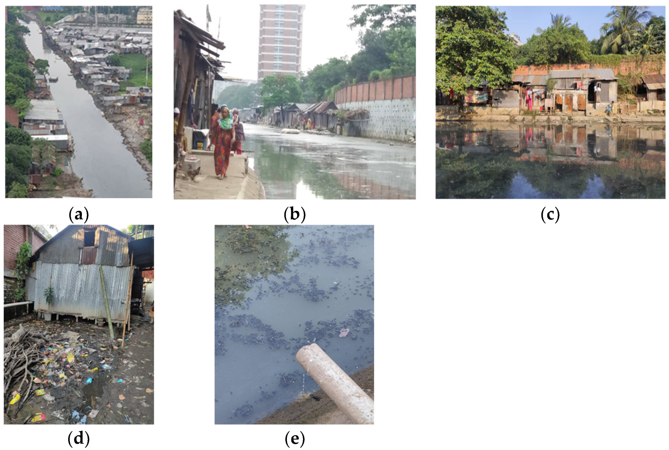 Socsci 13 00248 g001