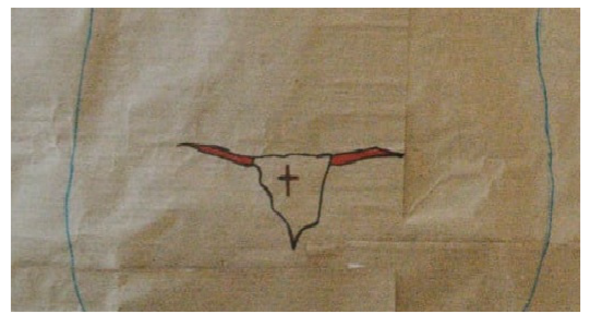 Socsci 13 00249 g002