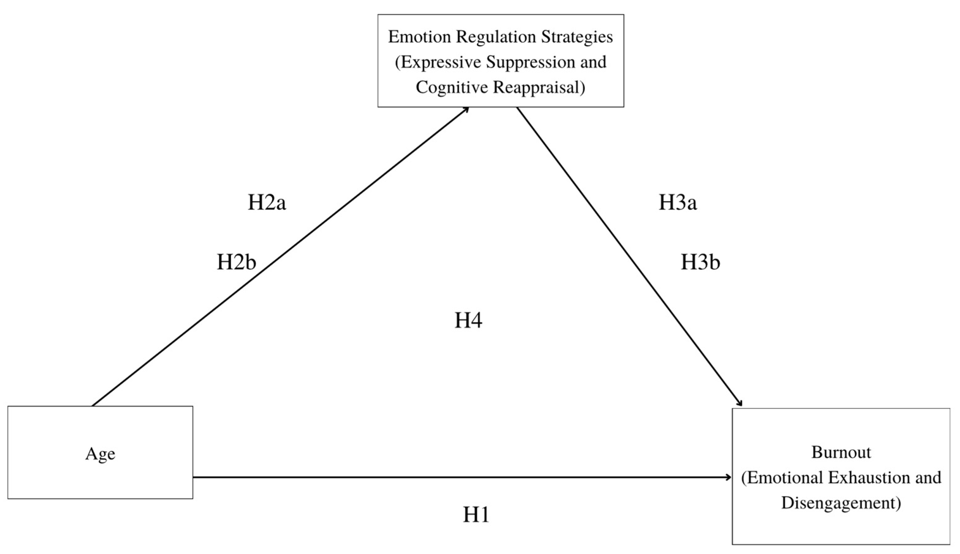 Socsci 13 00274 g001
