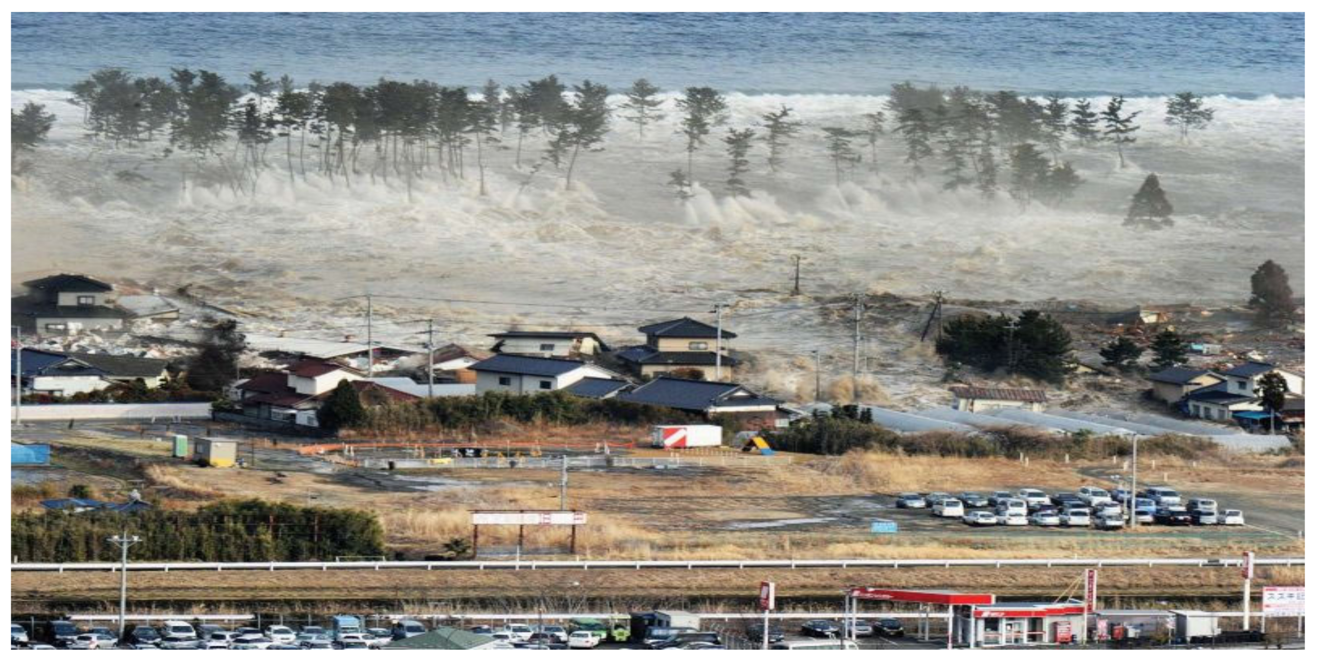 Socsci 13 00302 g006