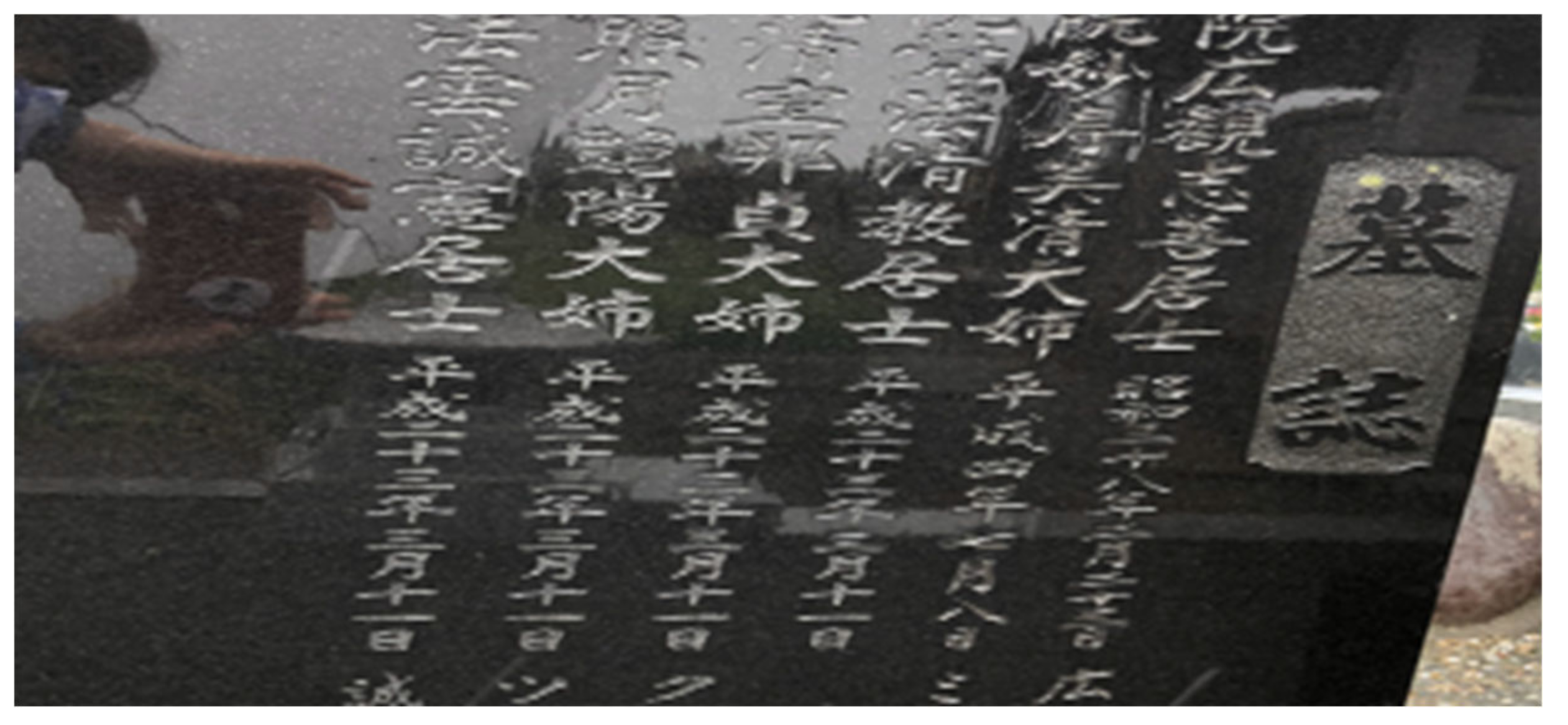 Socsci 13 00302 g007