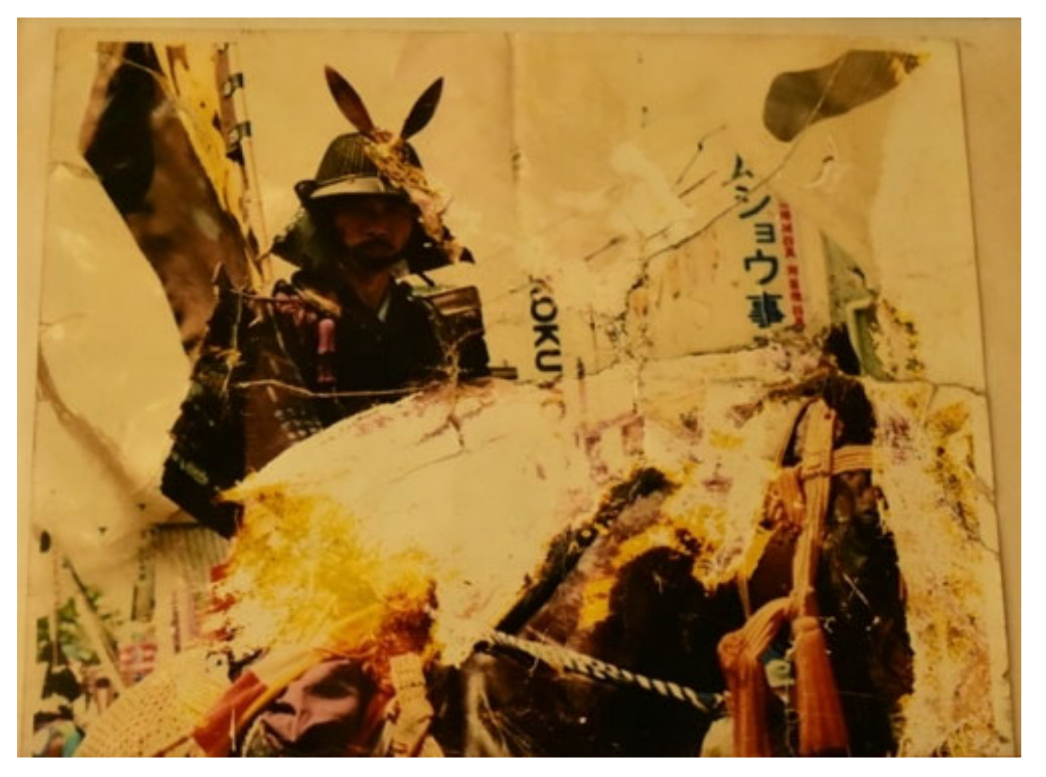 Socsci 13 00302 g009