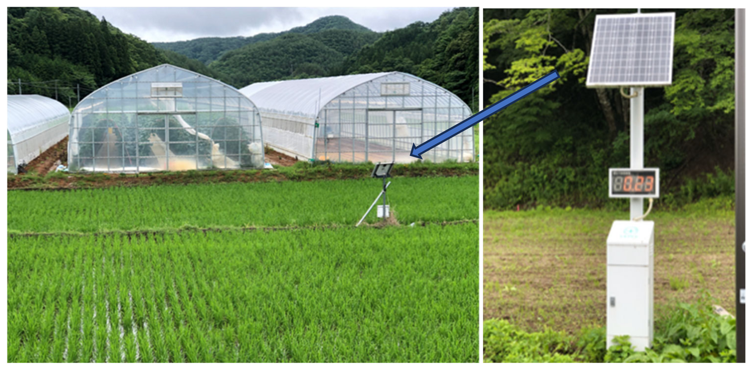 Socsci 13 00302 g011