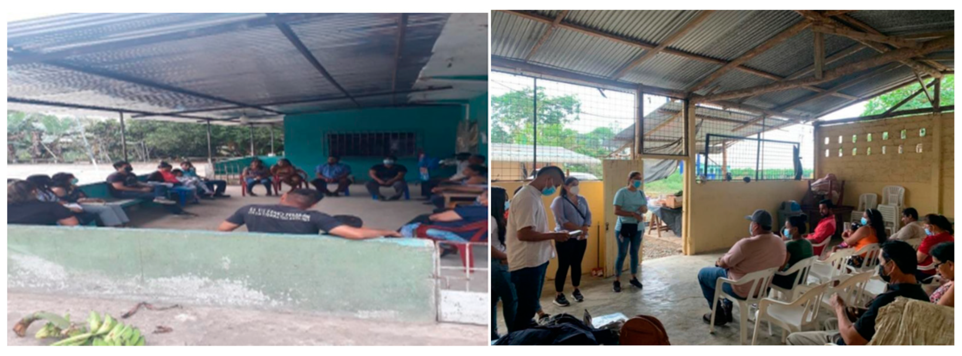 Socsci 13 00306 g002