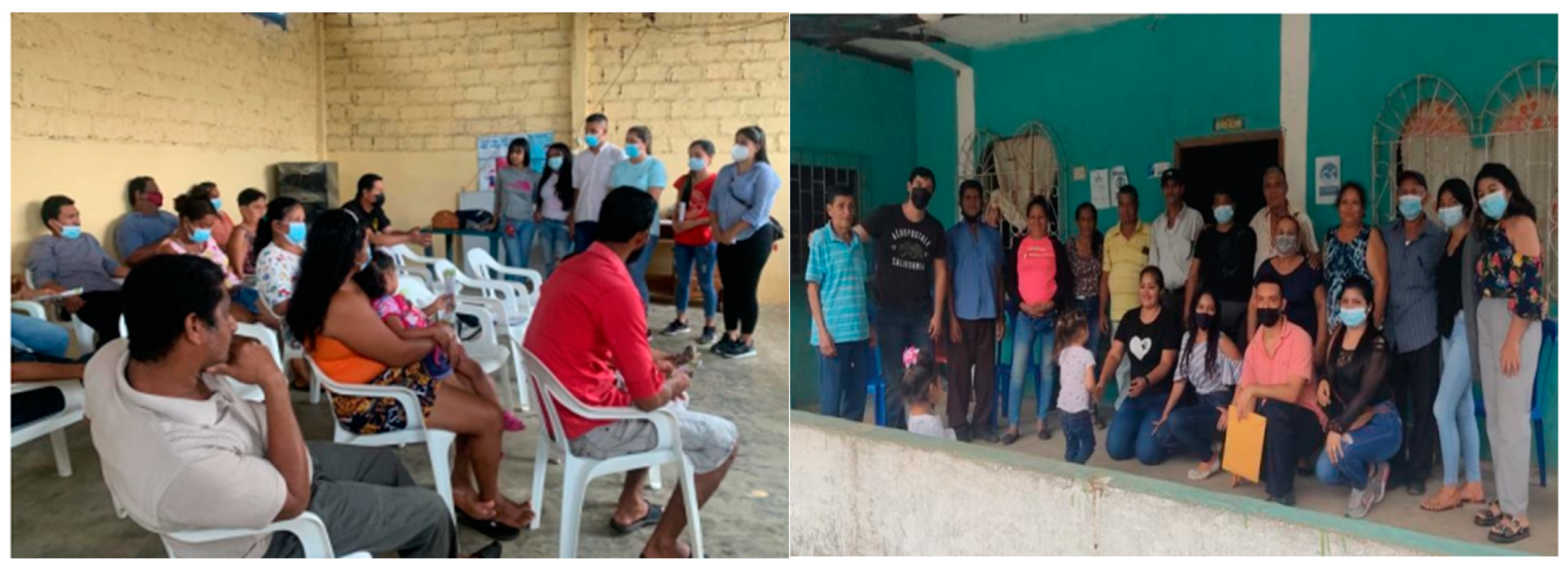 Socsci 13 00306 g003