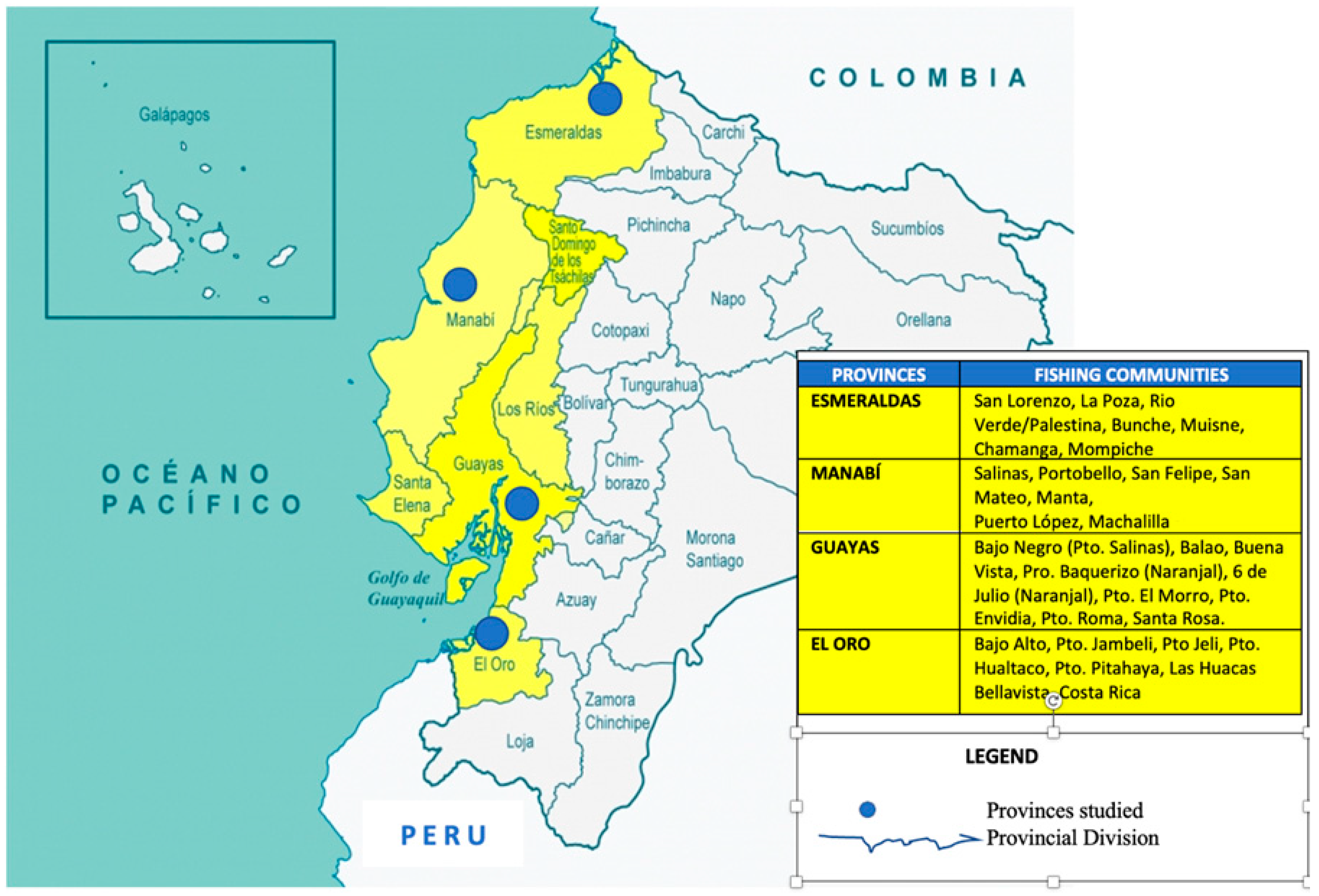 Socsci 13 00356 g001