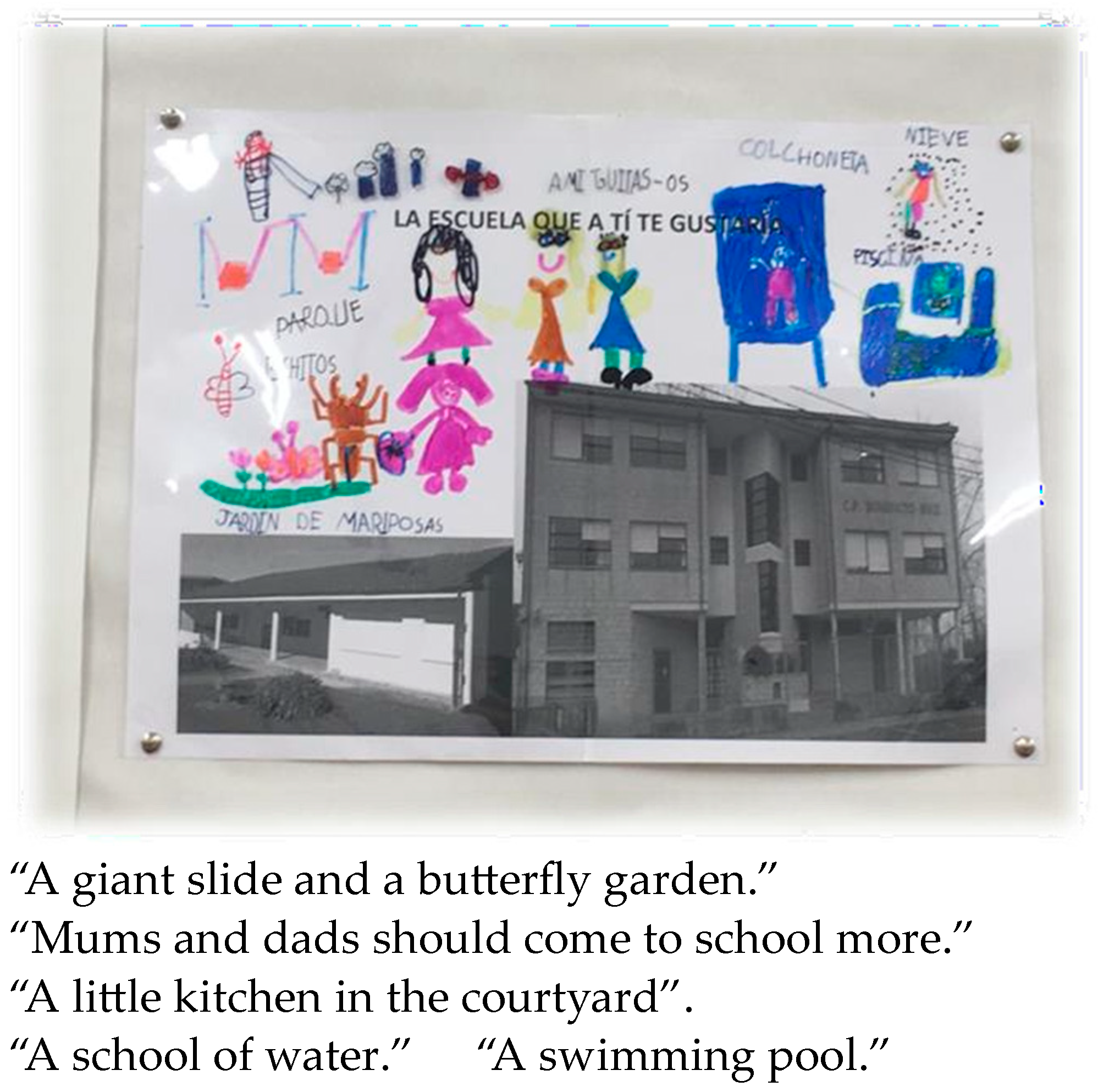 Socsci 13 00365 g003